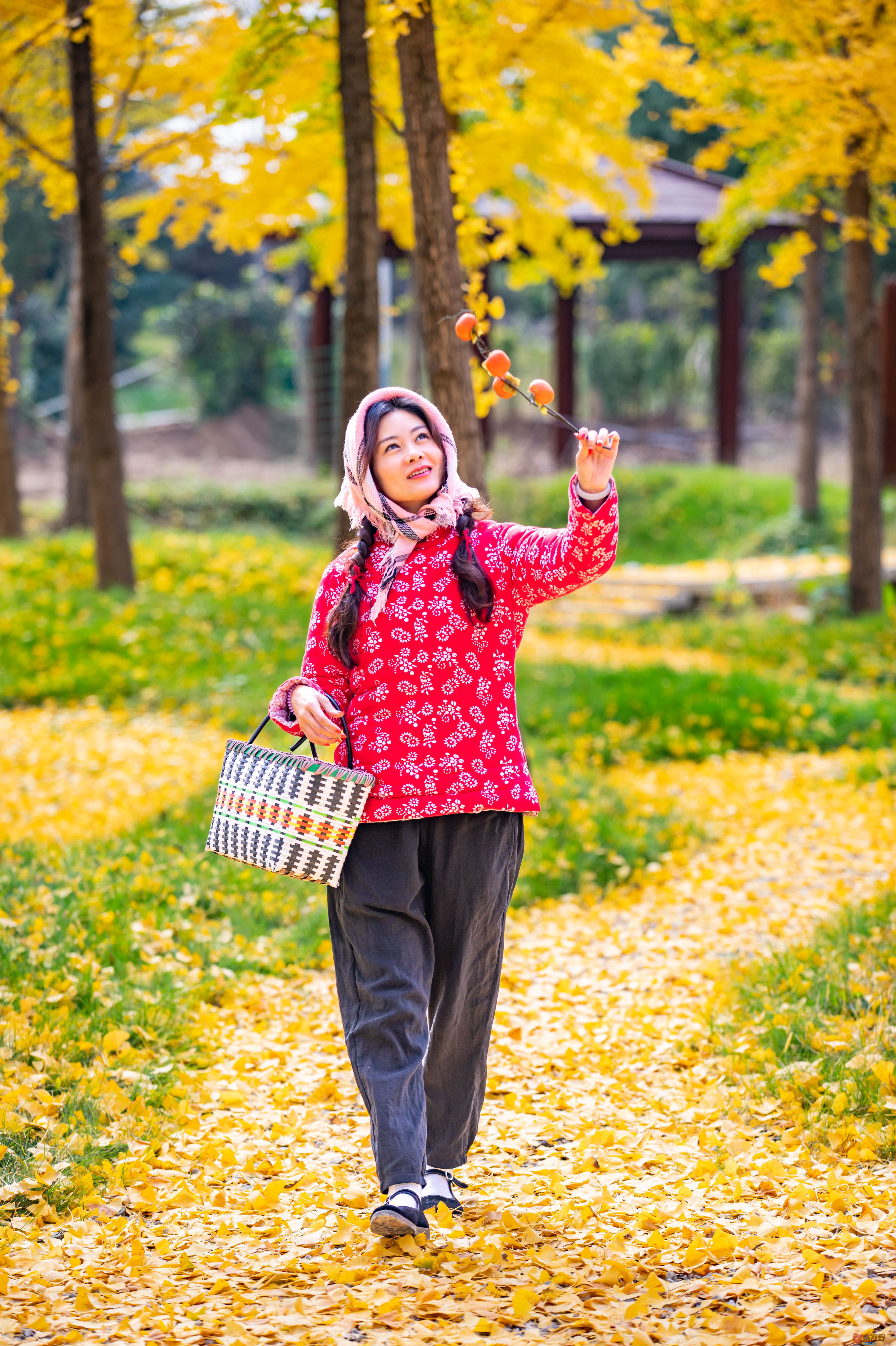 张宝光_20251108190307_2980_463 (9).jpg