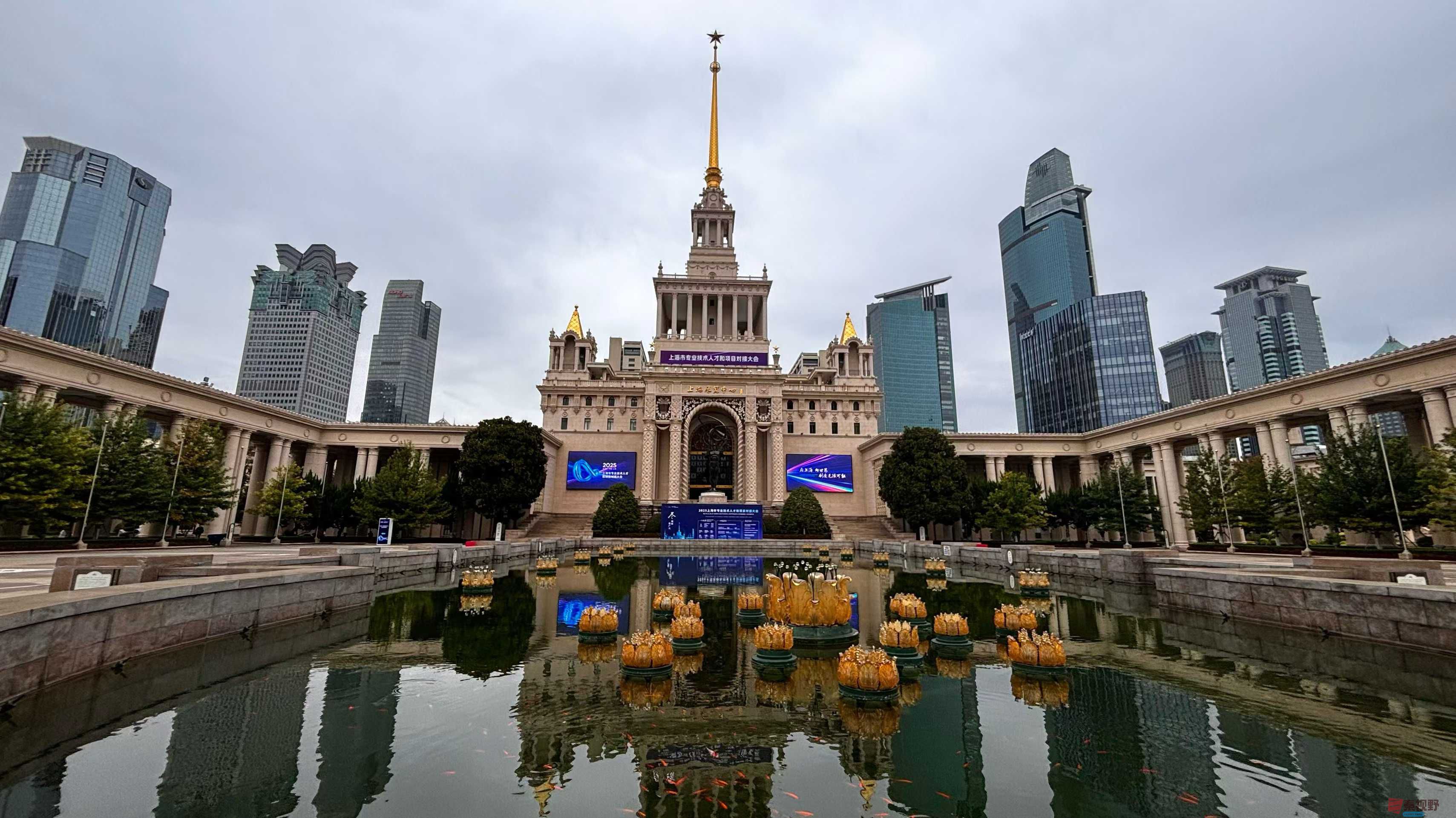 <strong>秋意绵绵【摄影张巧玲】</strong>