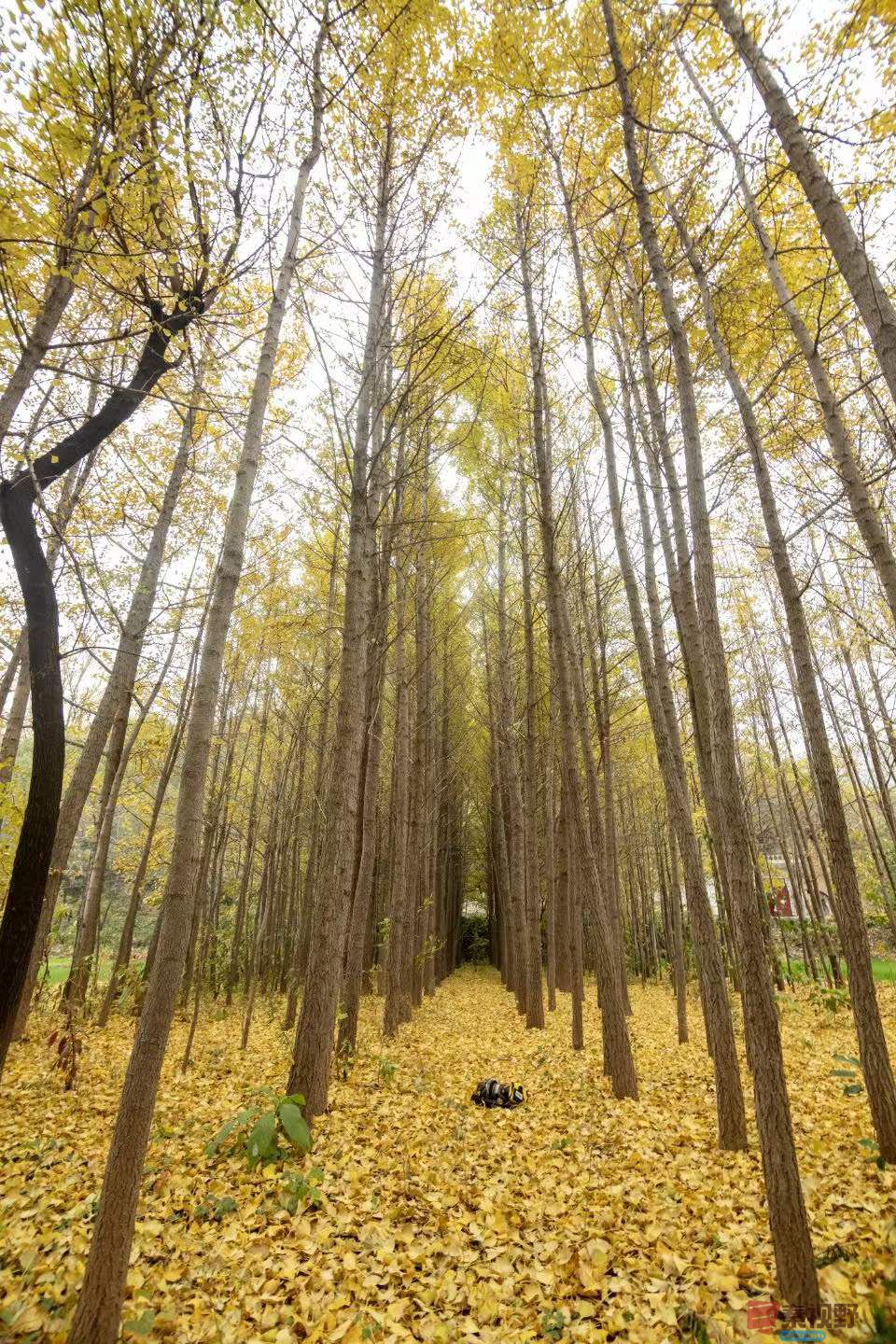 陈耀杰_2025-11-08_181600_964 (2).jpg