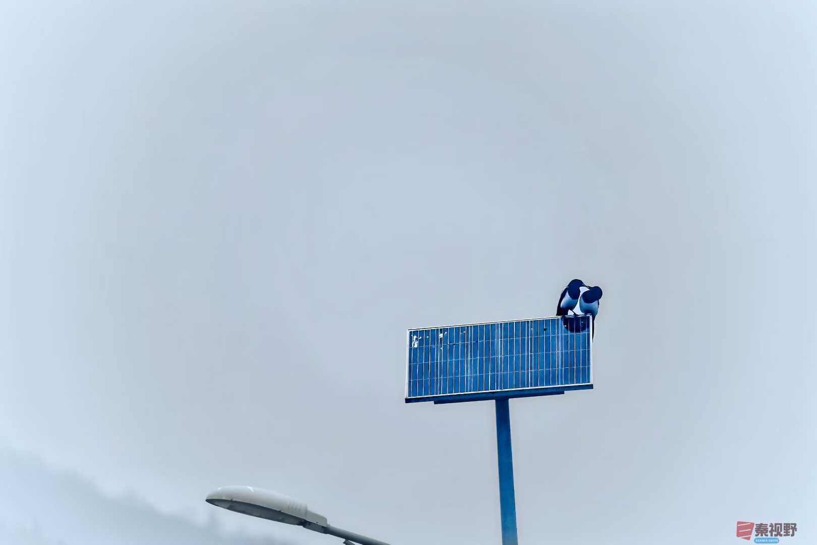 陈耀杰_2025-11-08_183226_957 (2).jpg