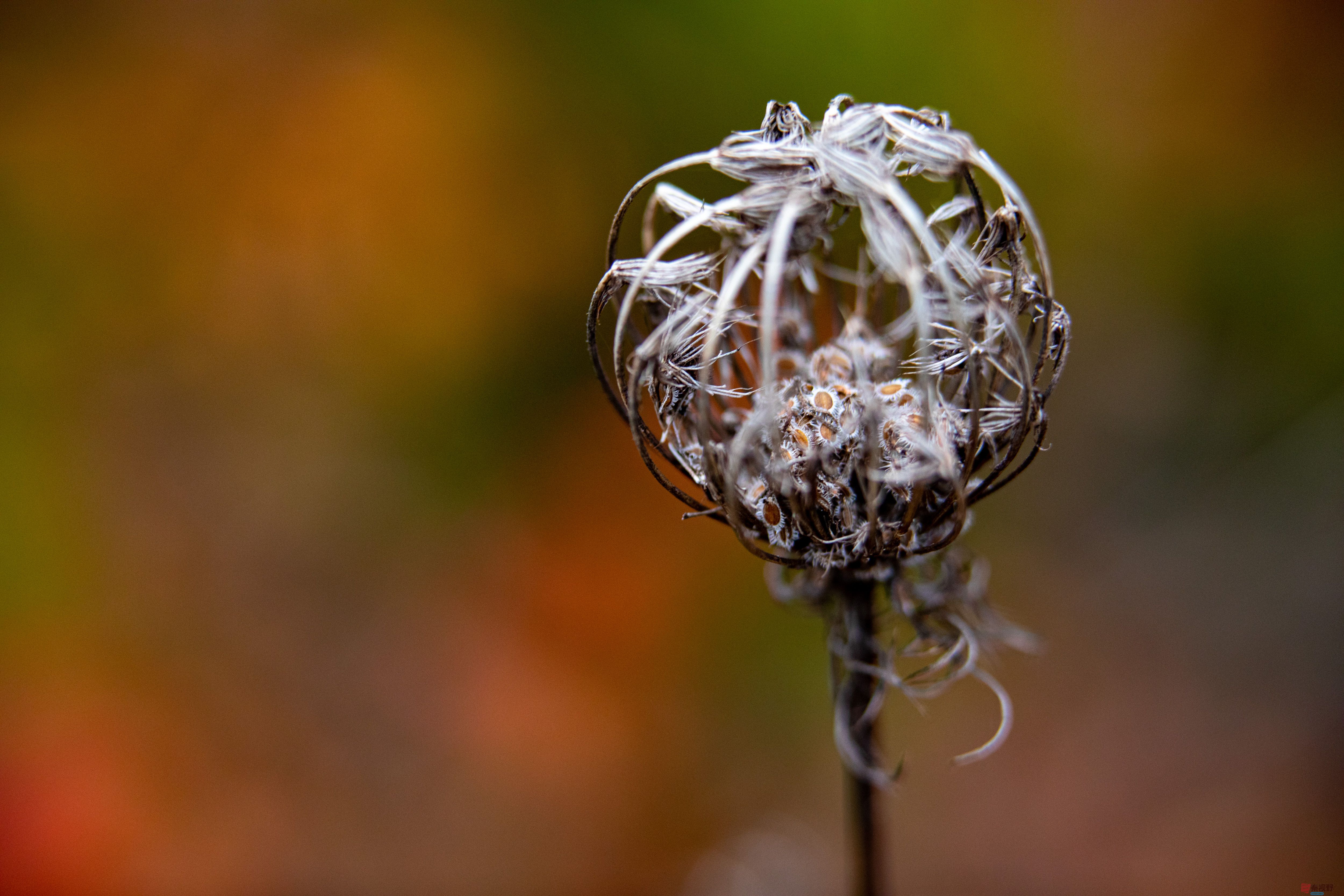 张宝光_20251107222948_2968_463 (2).jpg