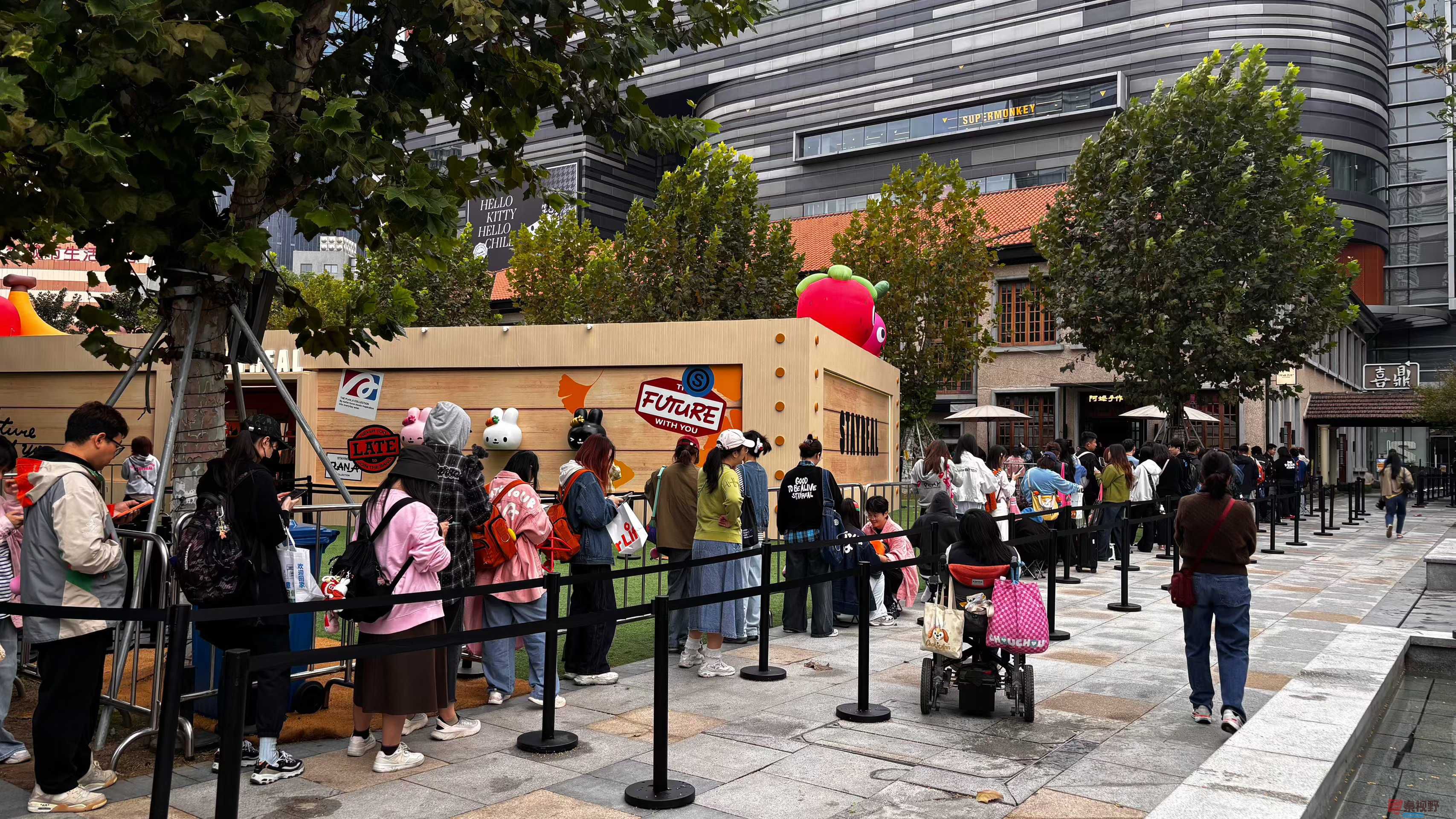 张巧玲_2025-11-08_181219_926 (1).jpg