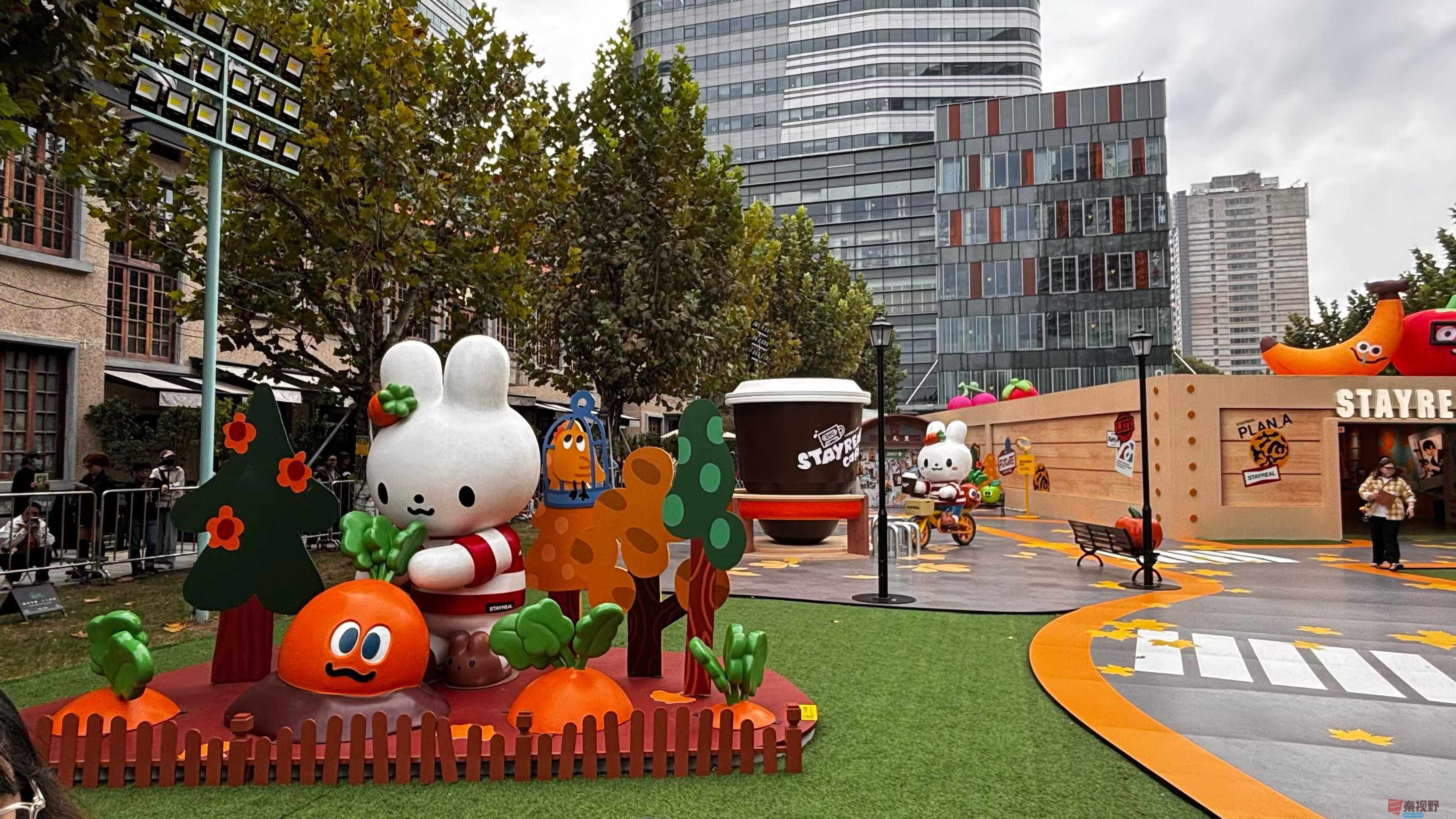 张巧玲_2025-11-08_181219_926 (3).jpg