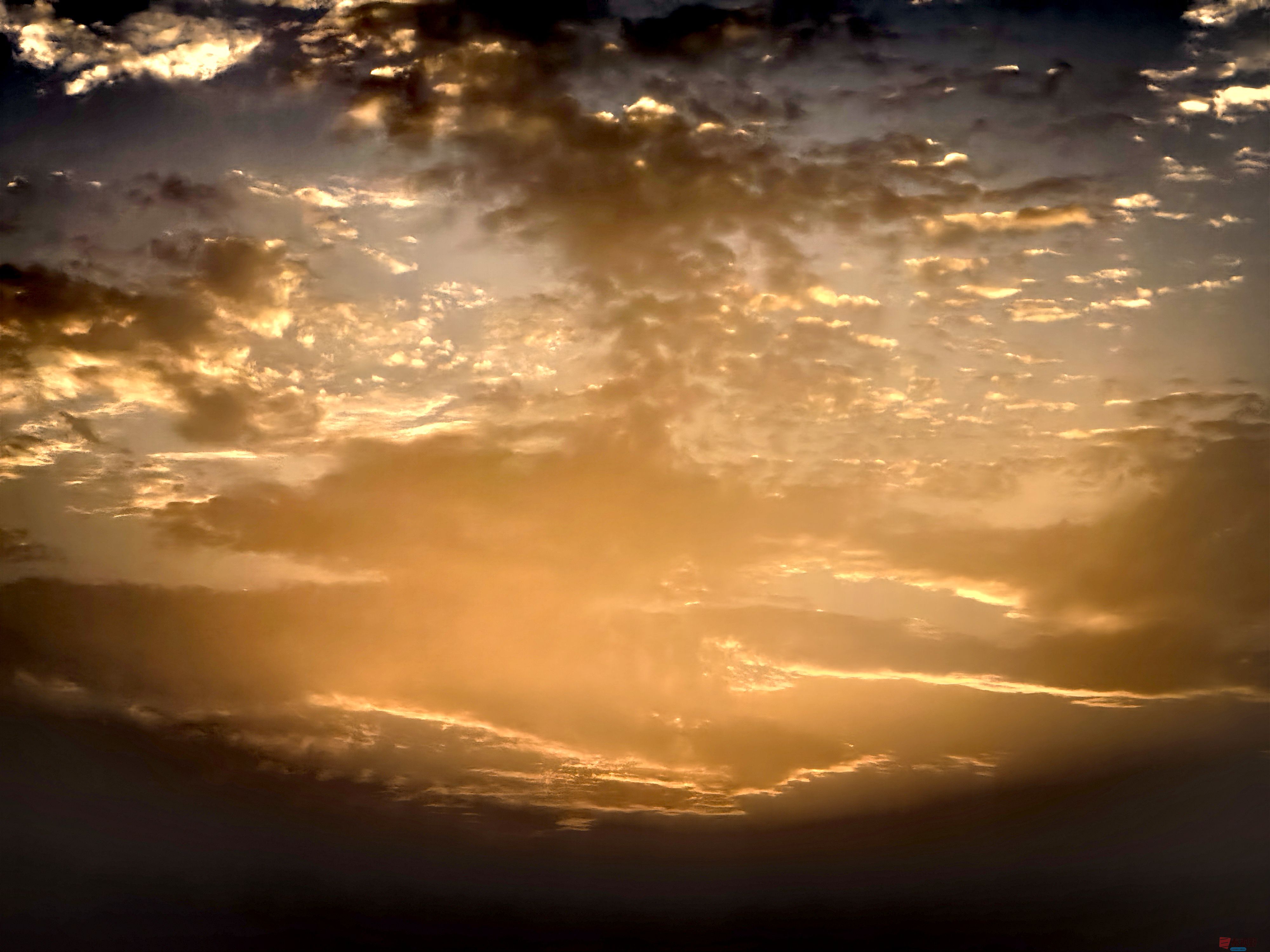 刘孝文_20251110082001_3041_463 (5).jpg