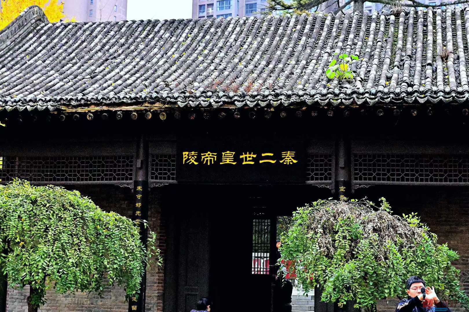 张高翔_2025-11-09_230830_821 (2).jpg