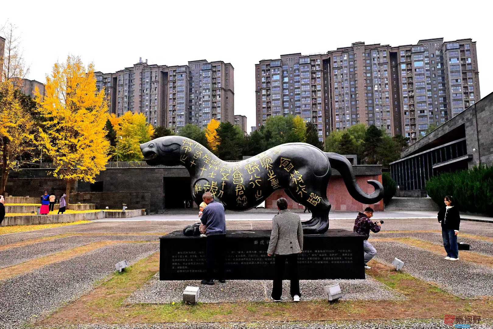 张高翔_2025-11-09_230830_821 (6).jpg