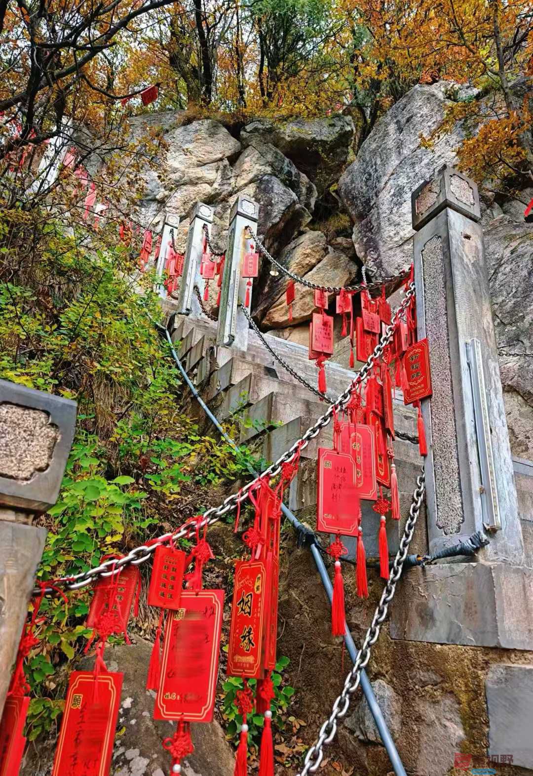 李阳2025-11-09_231612_547 (1).jpg