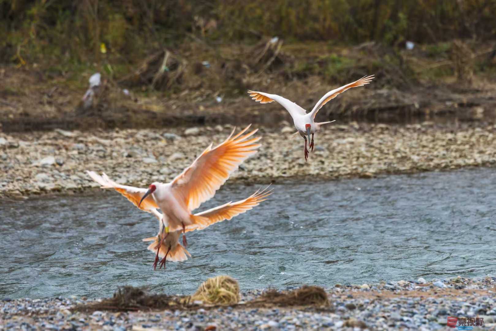 袁小保_2025-11-09_233545_427 (6).jpg