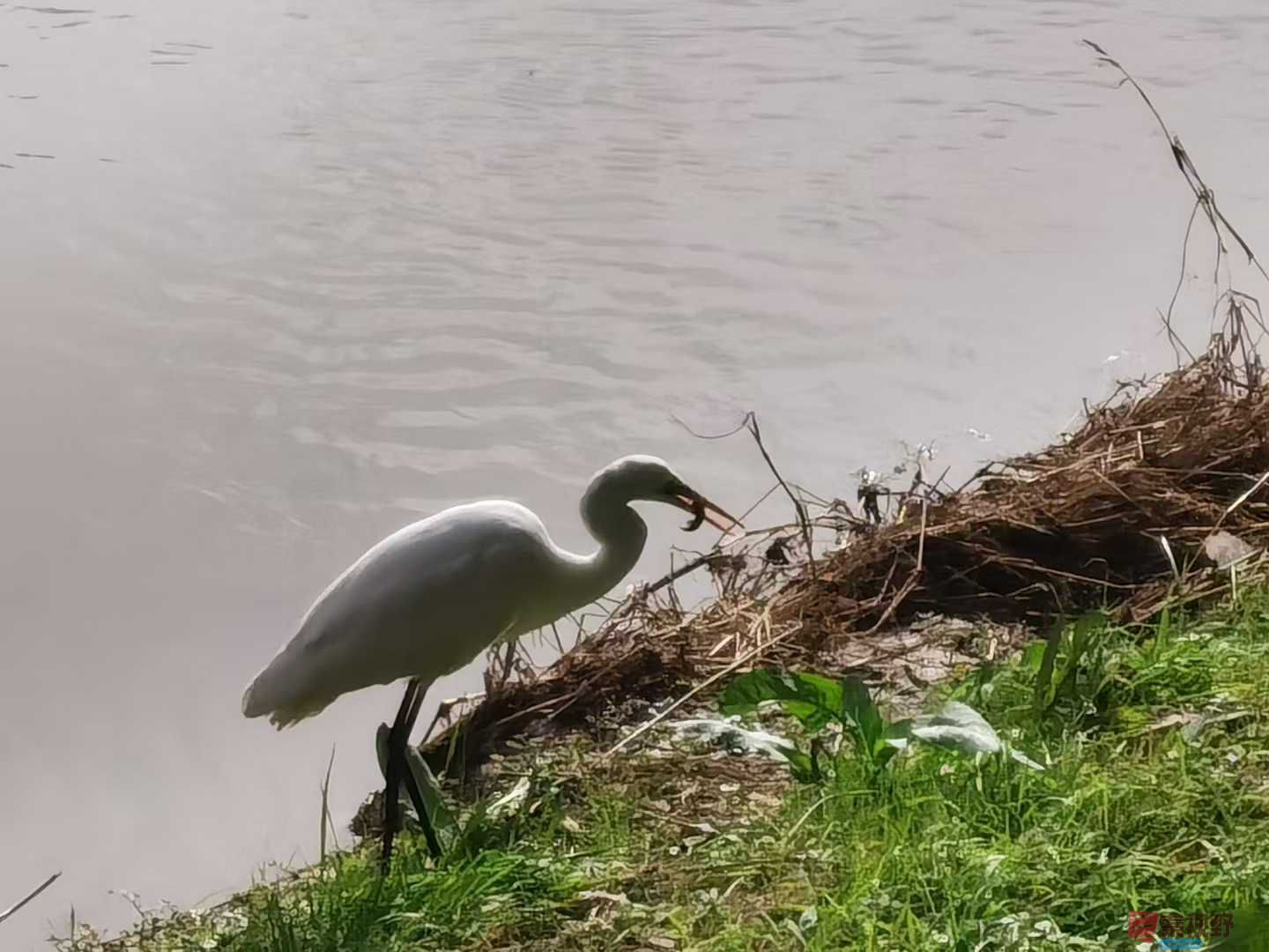 刘辉_2025-11-08_183328_466 (3).jpg