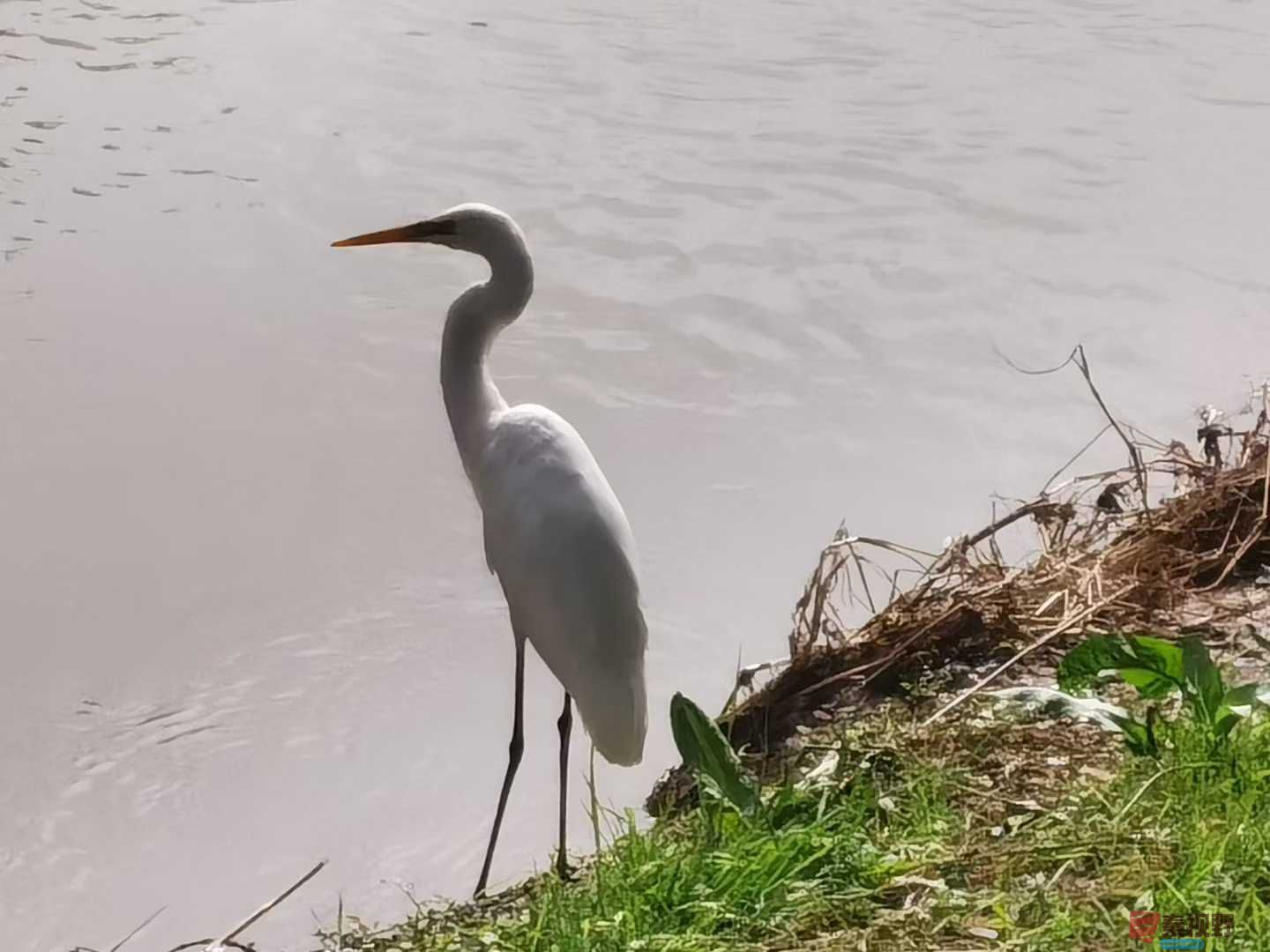 刘辉_2025-11-08_183328_466 (2).jpg