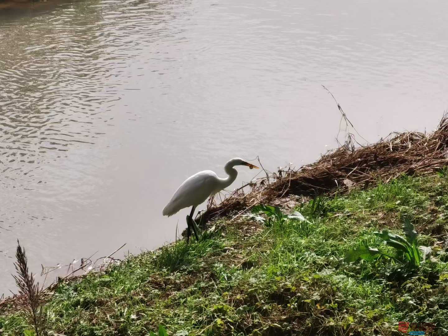 刘辉_2025-11-08_183328_466 (6).jpg