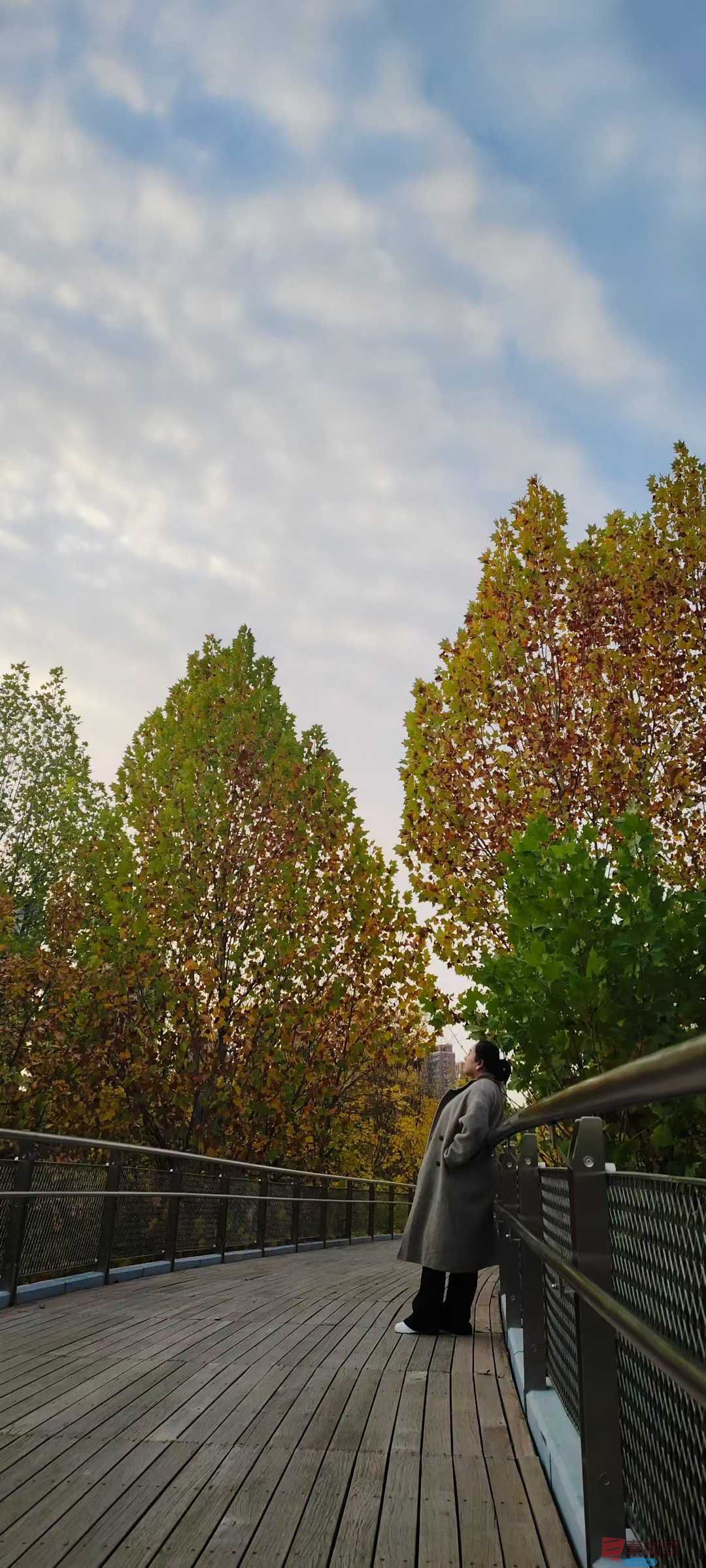 法制大队_2025-11-09_232430_069 (1).jpg