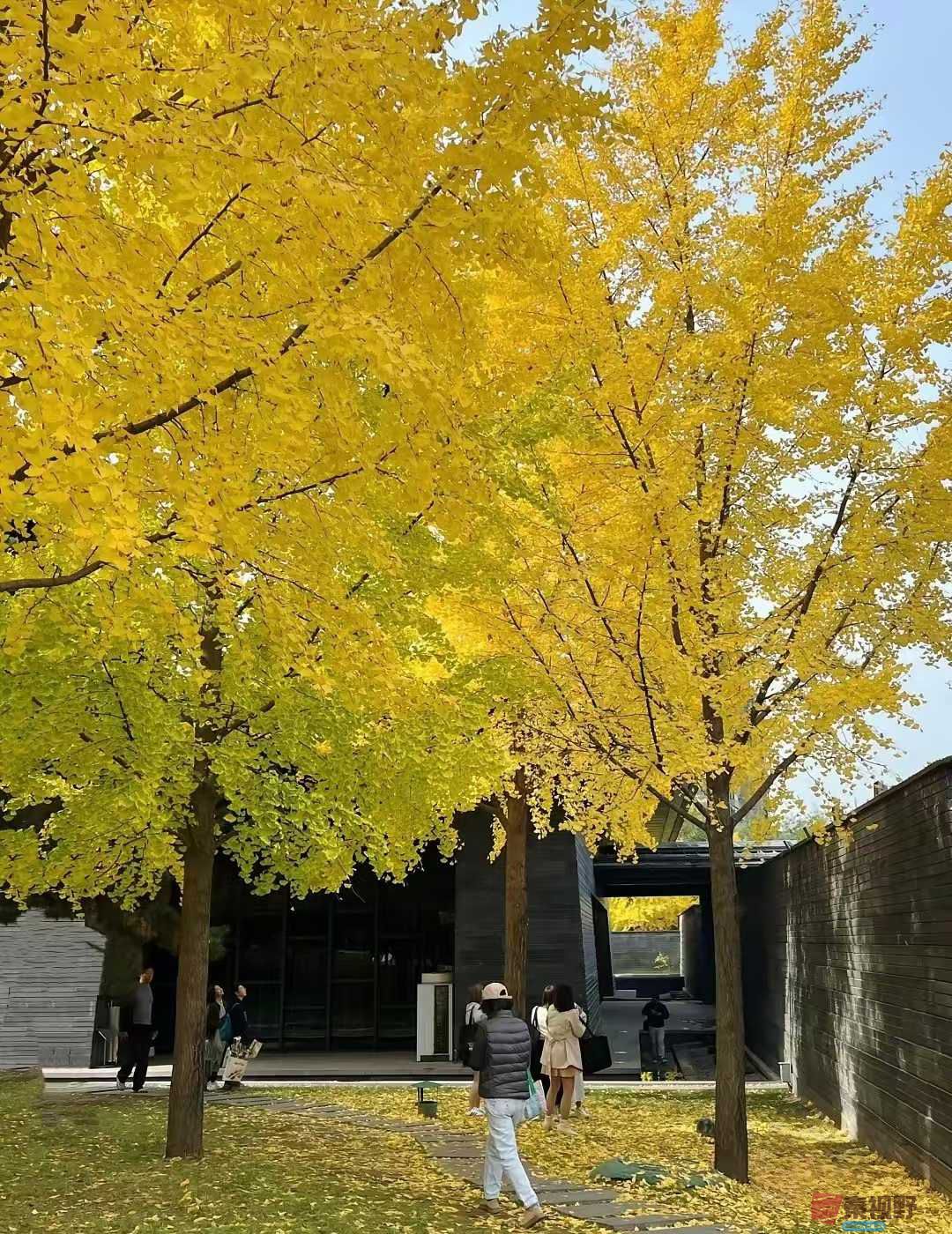 法制大队_2025-11-09_232430_069 (3).jpg