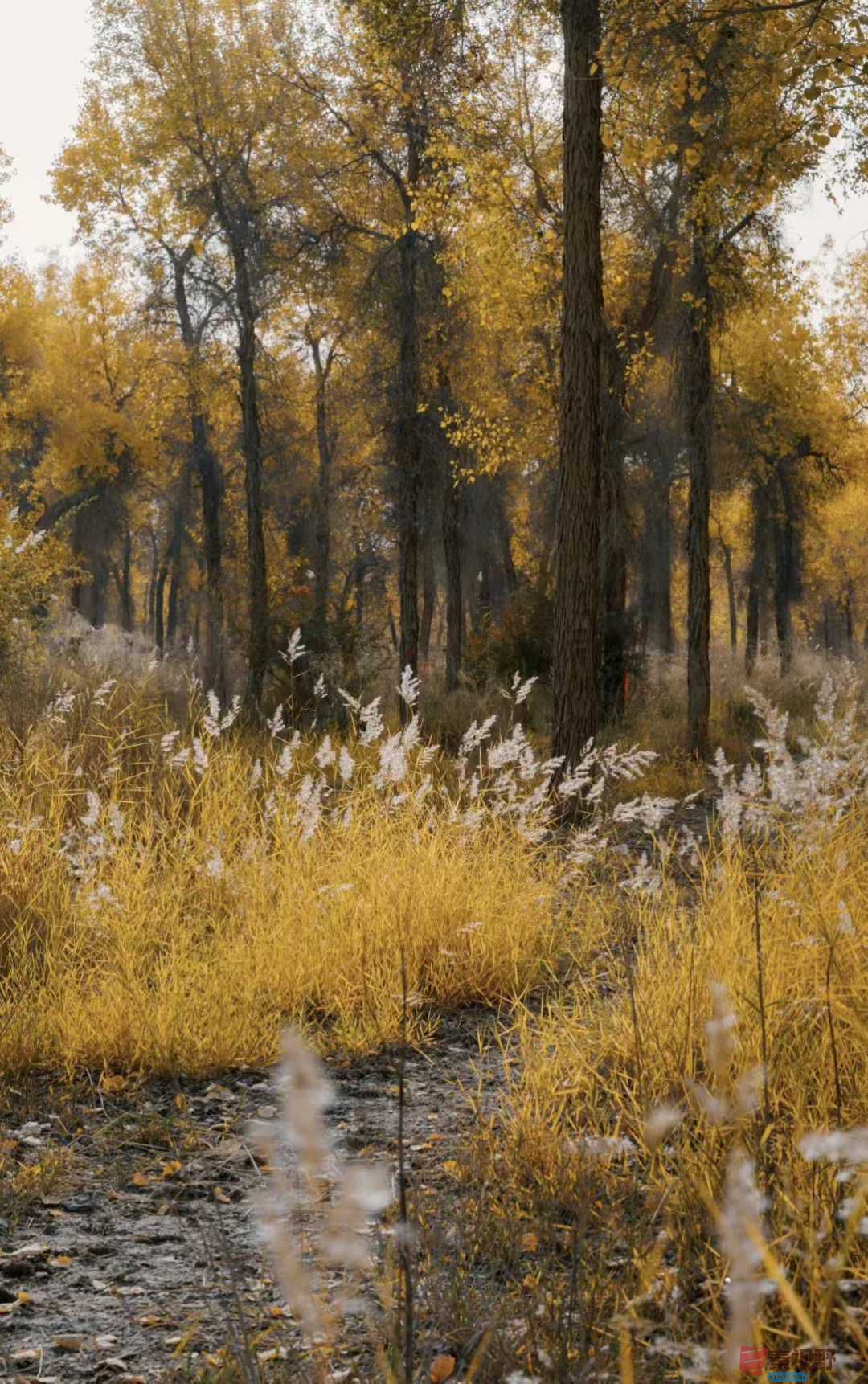 法制大队_2025-11-09_232430_069 (7).jpg