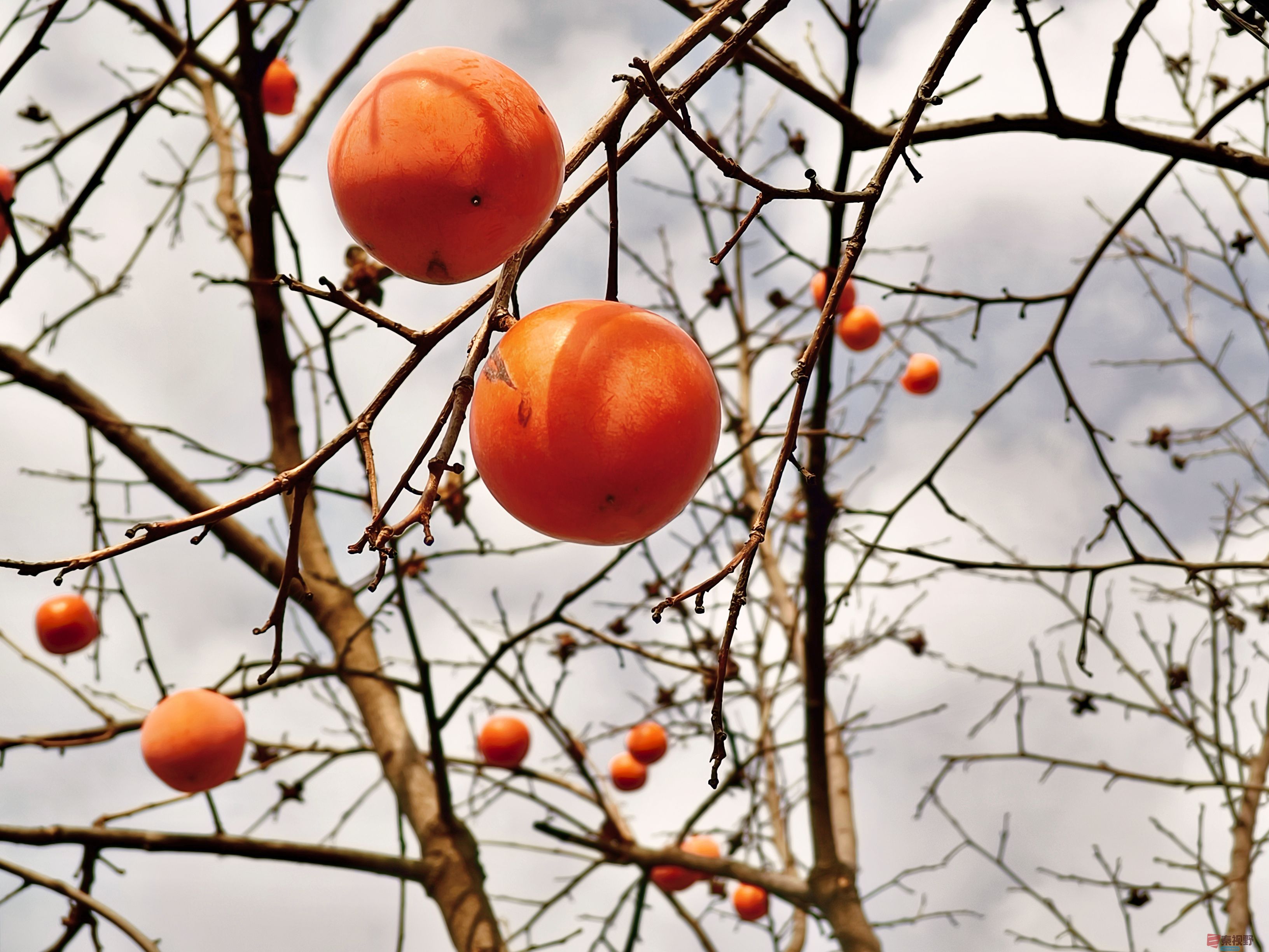 任周民_20251111094310_212_1580 (3).jpg