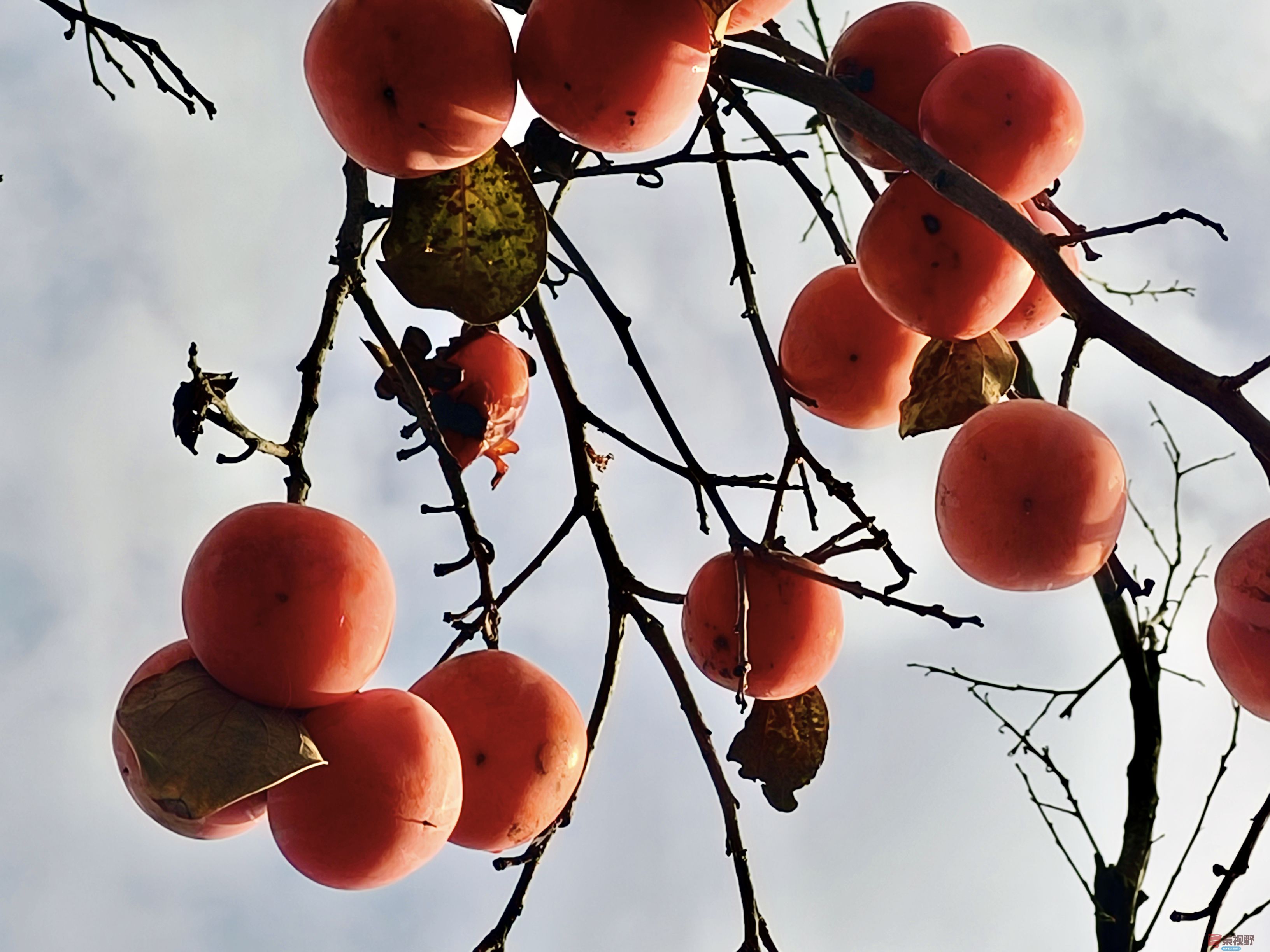 任周民_20251111094310_212_1580 (4).jpg