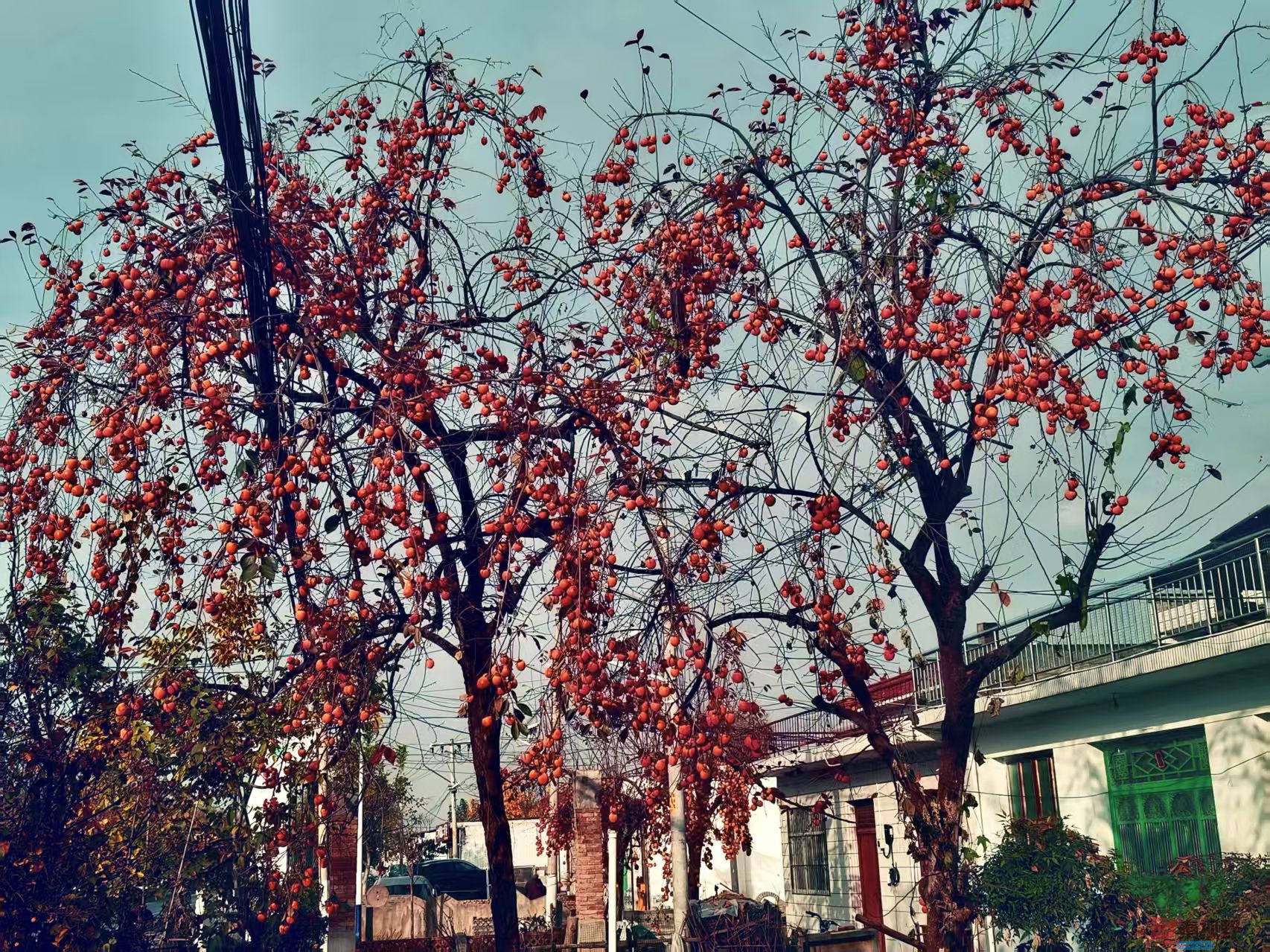 任周民_20251111094310_212_1580 (6).jpg