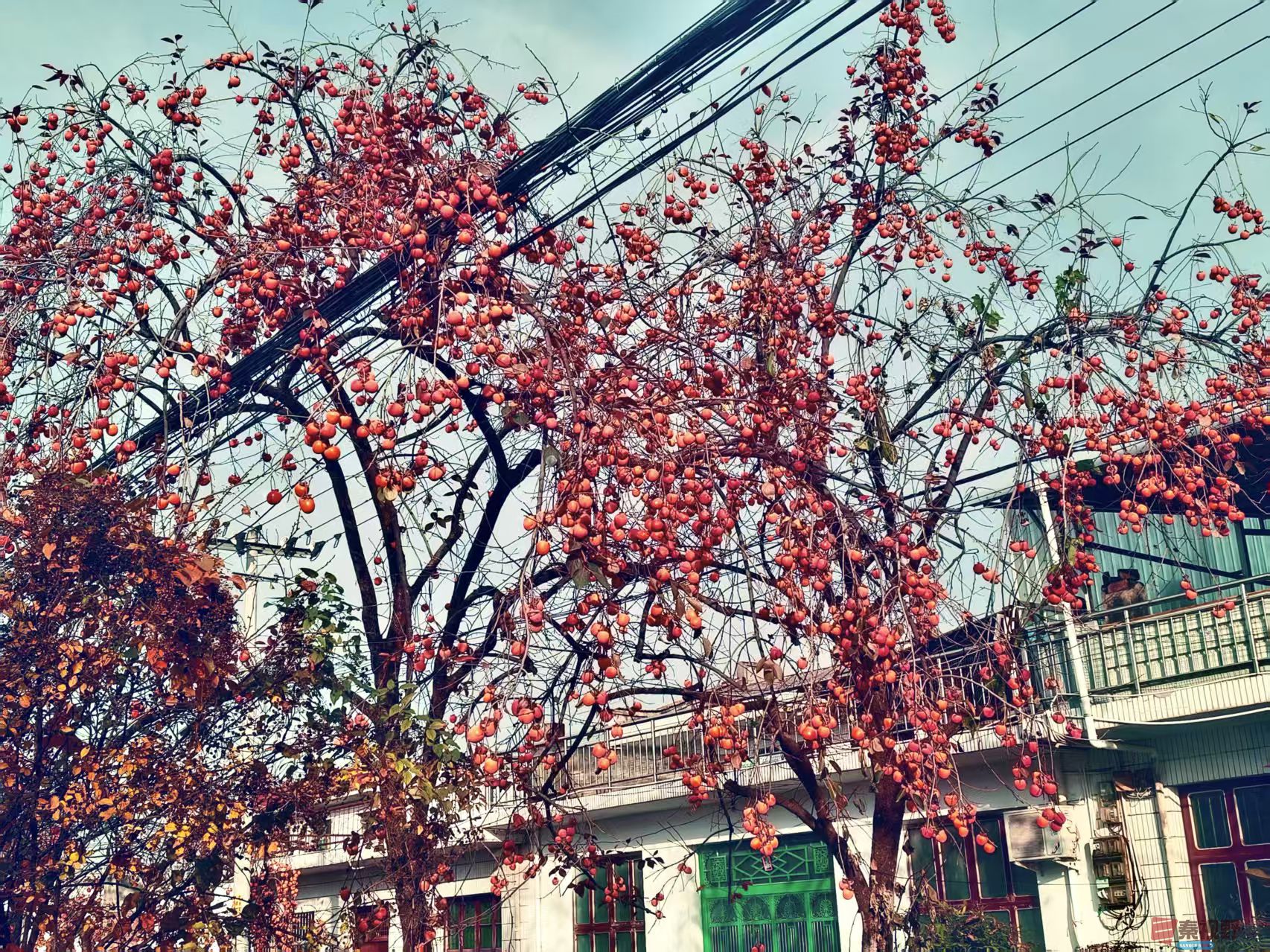 任周民_20251111094310_212_1580 (7).jpg