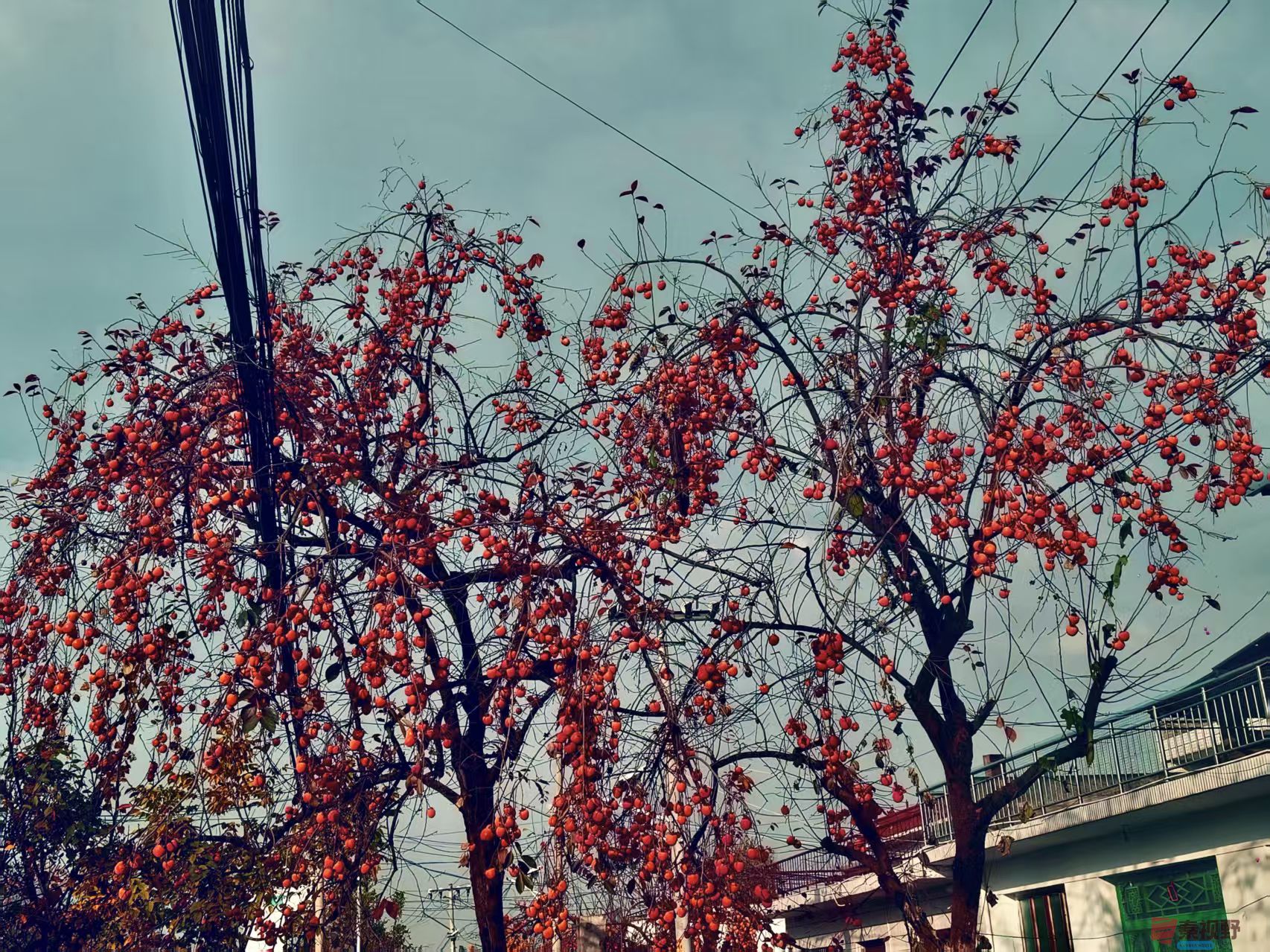 任周民_20251111094310_212_1580 (8).jpg