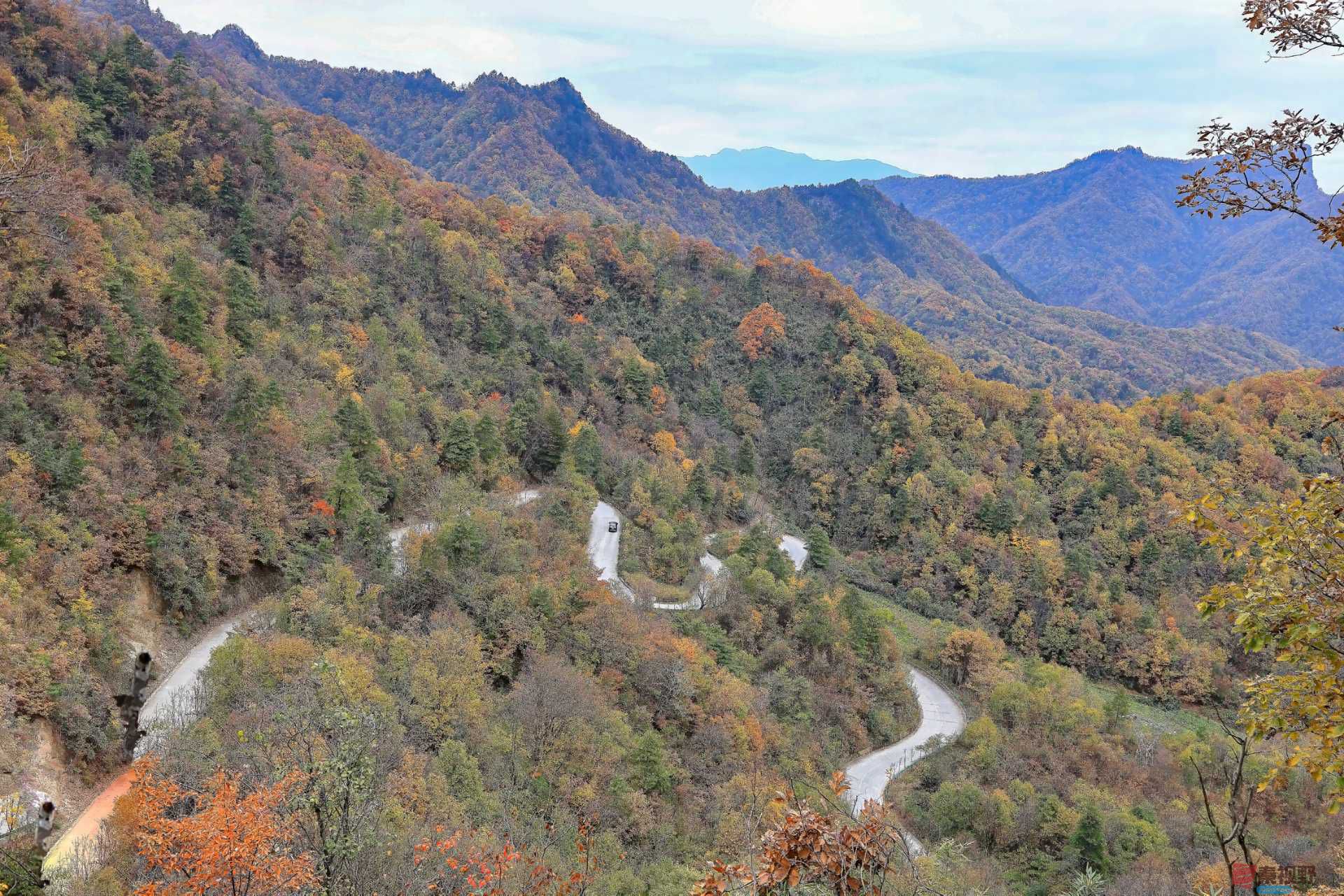 陈耀杰_20251110175853_3113_463 (1).jpg