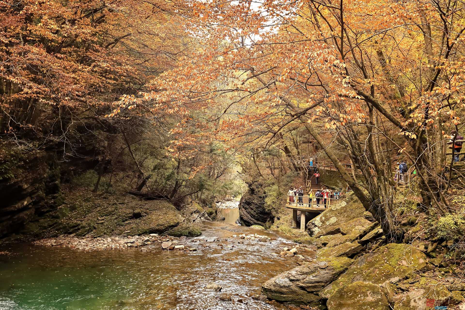 秋意缠绵【摄影陈耀杰】