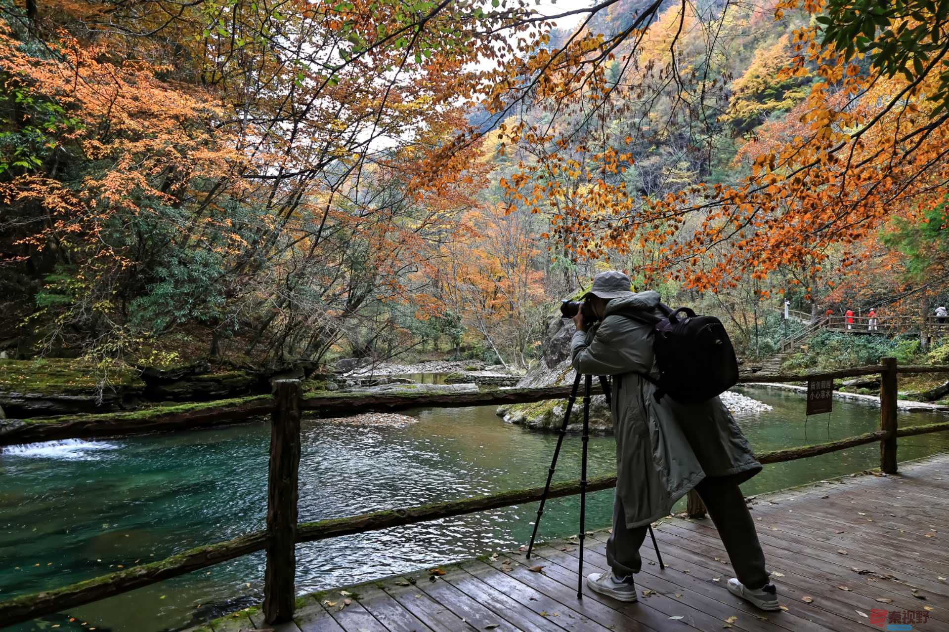 陈耀杰_20251110175853_3113_463 (9).jpg