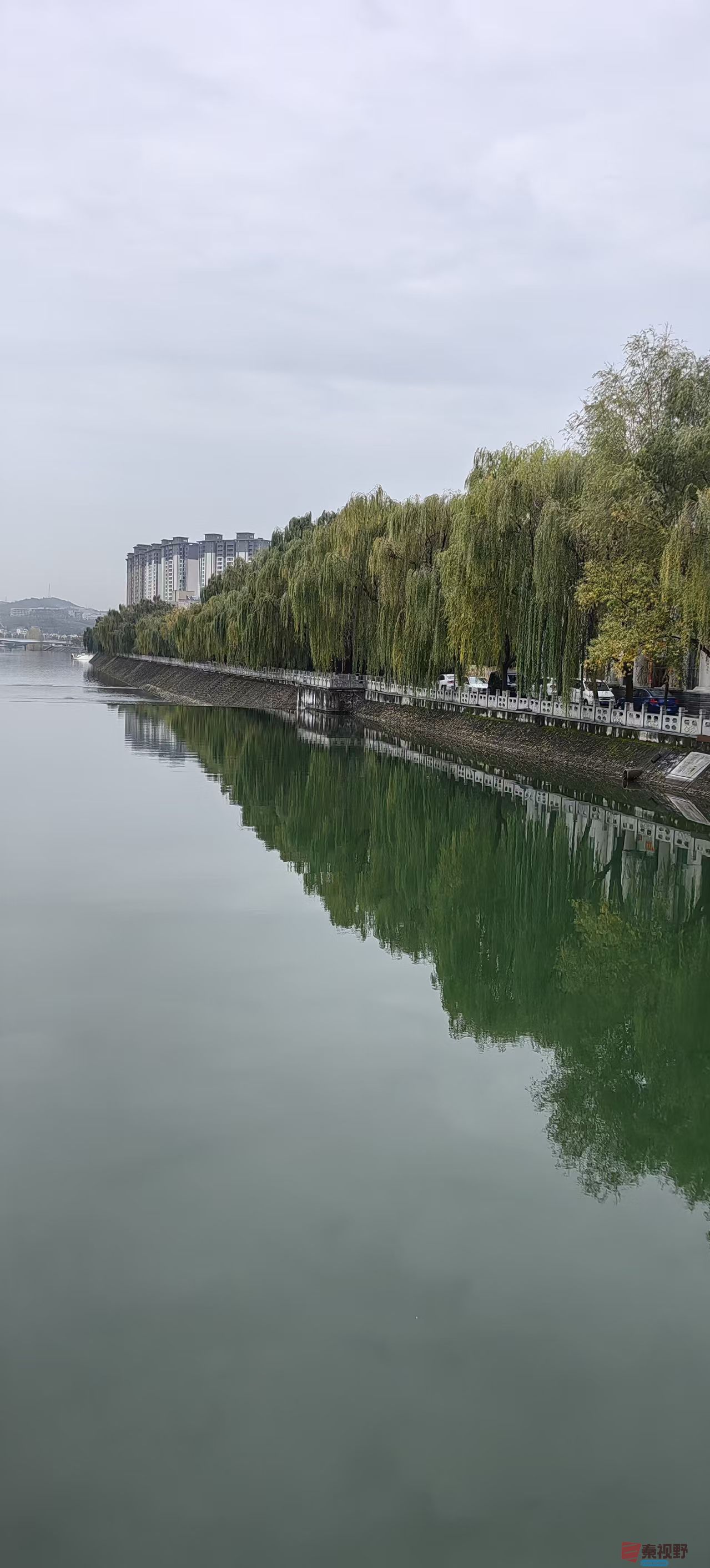 绿海雪塬_20251110214846_3130_463 (16).jpg