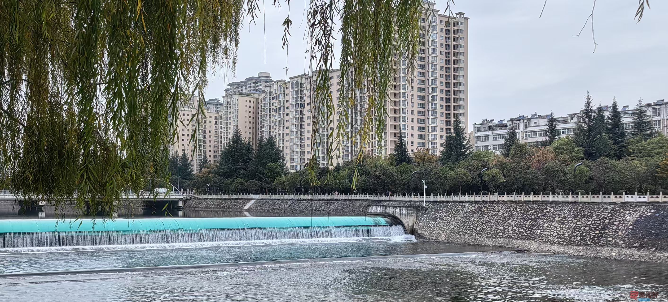 绿海雪塬_20251110214846_3130_463 (14).jpg