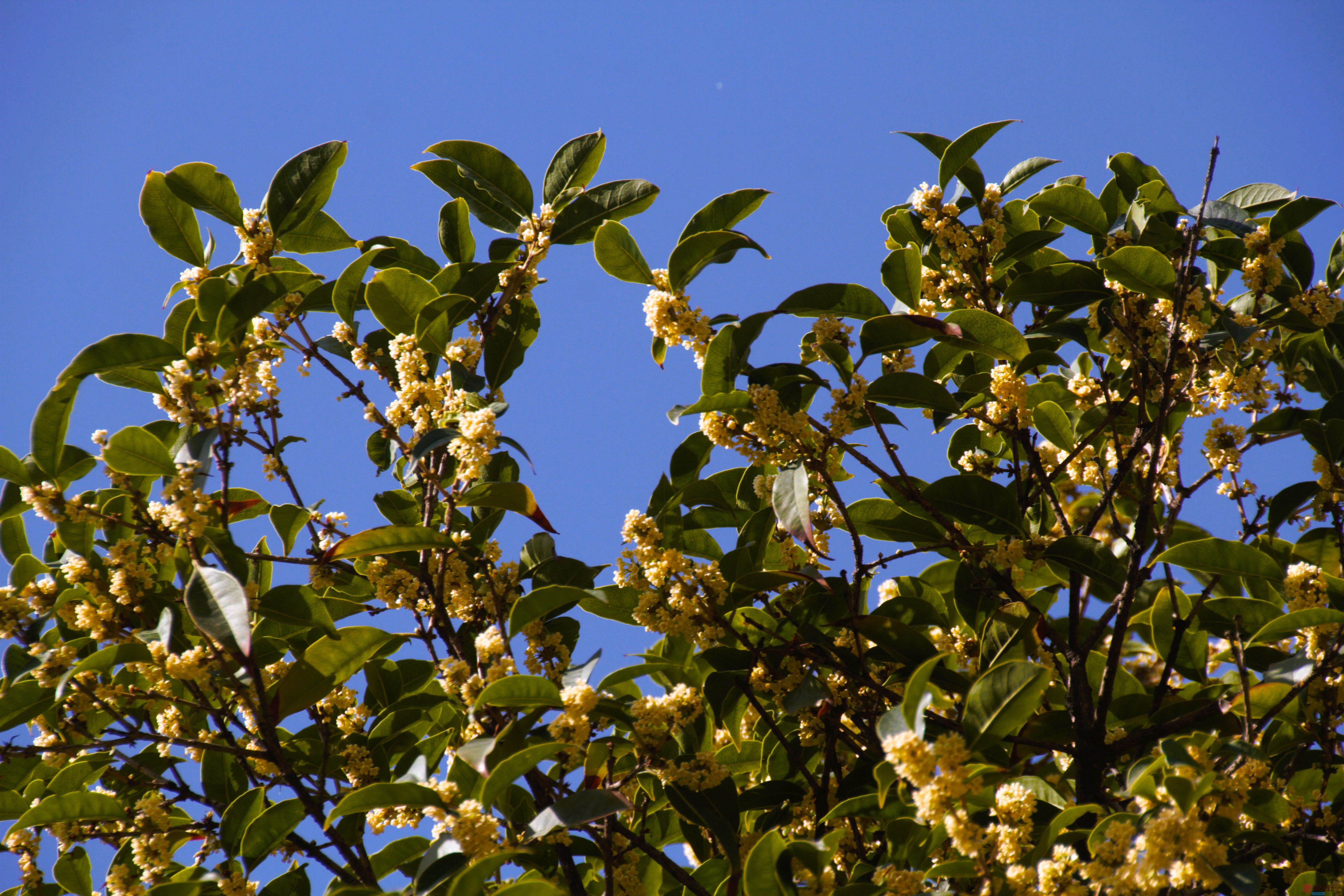 陈耀杰_20251111092736_3163_463 (3).jpg