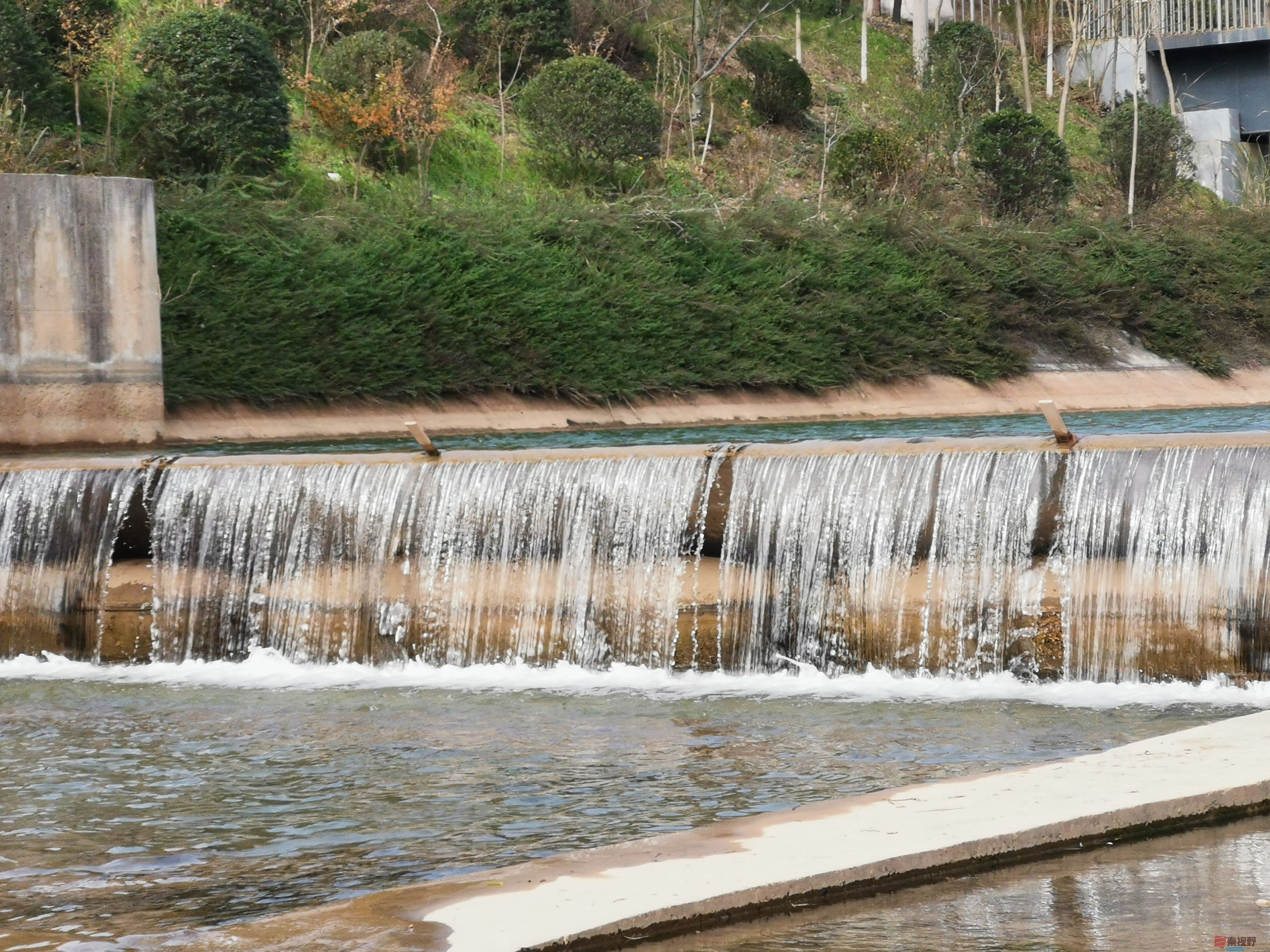 李维杰_20251112134245_1_482 (1).jpg