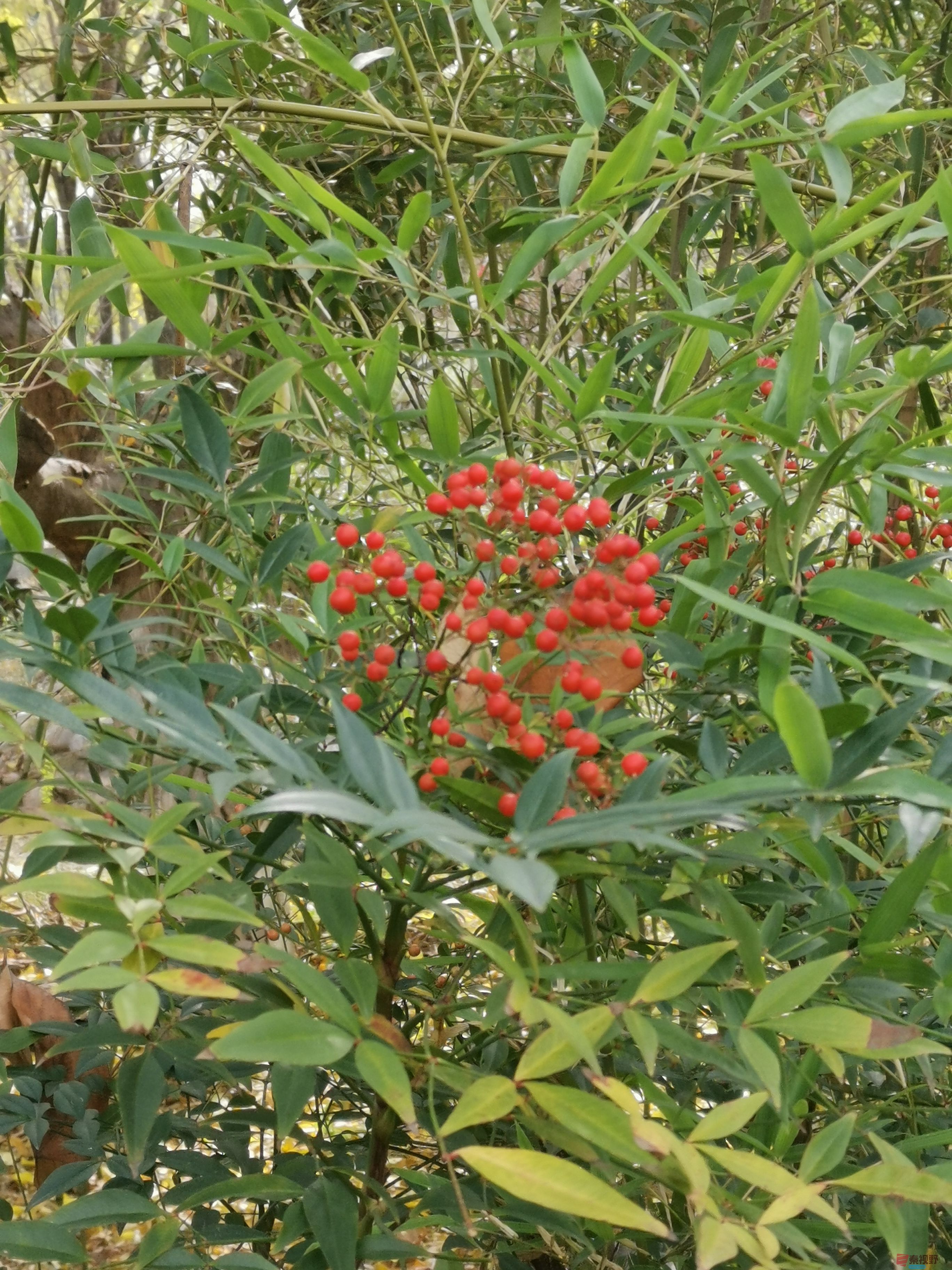 李维杰_20251112134245_1_482 (8).jpg