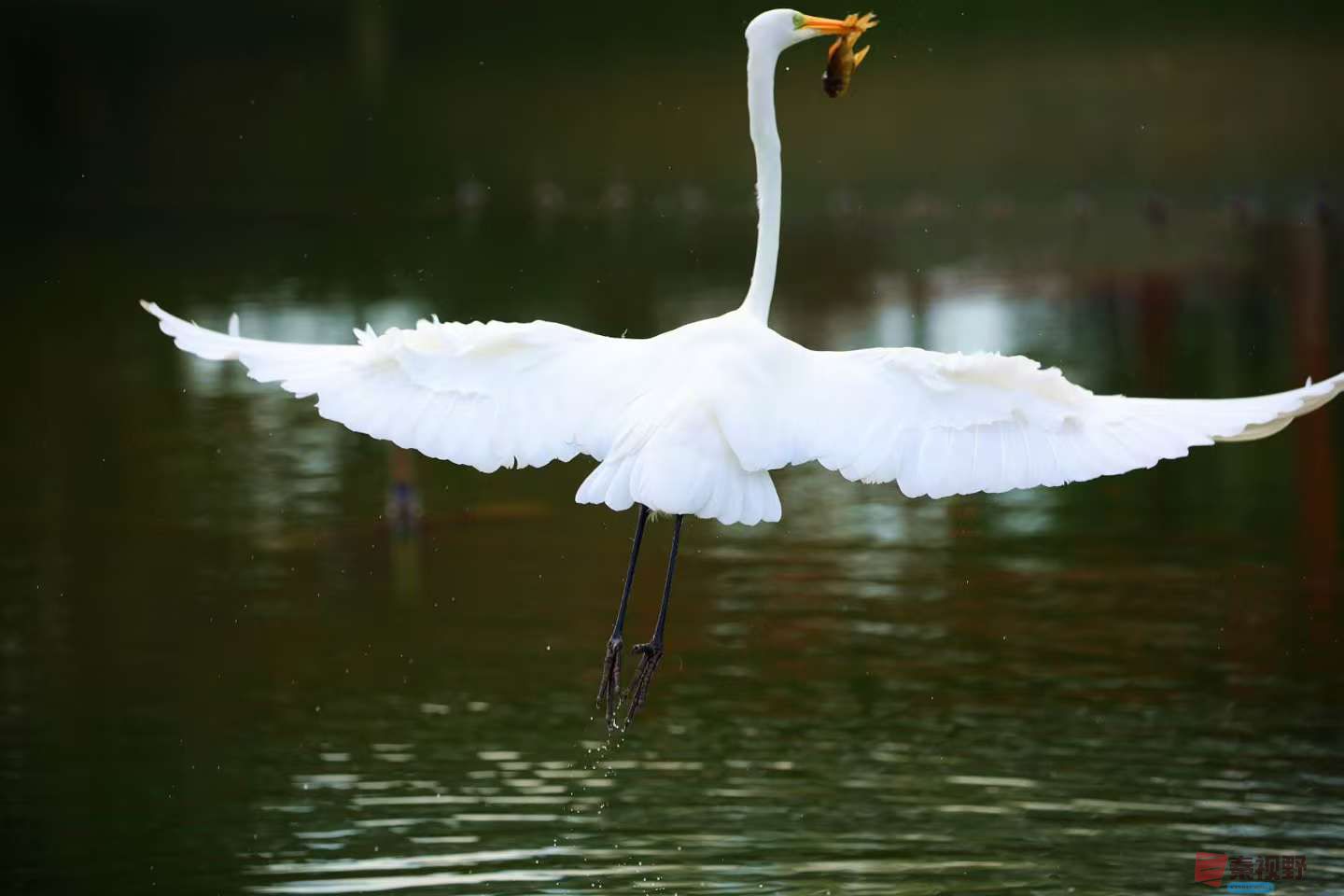 寇群利_20251114082116_3296_463 (3).jpg