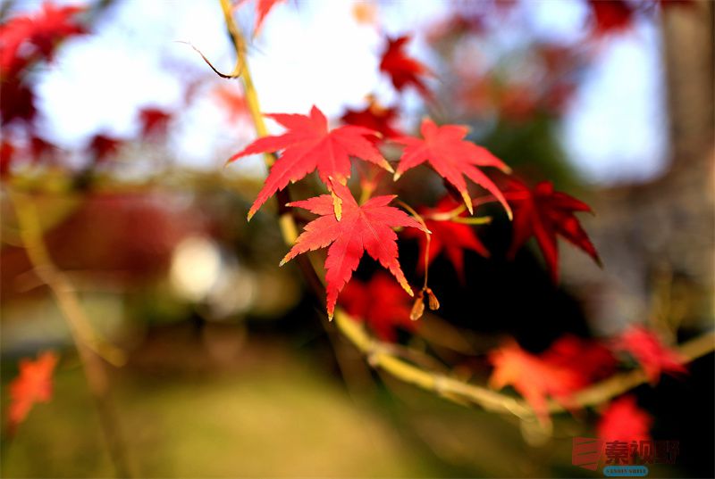 寇群利压缩_20251117190819_3373_463 (1).jpg