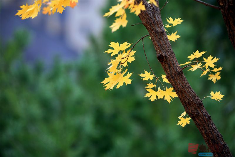 寇群利压缩_20251117190819_3373_463 (2).jpg