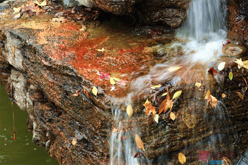 寇群利压缩_20251117190819_3373_463 (4).jpg