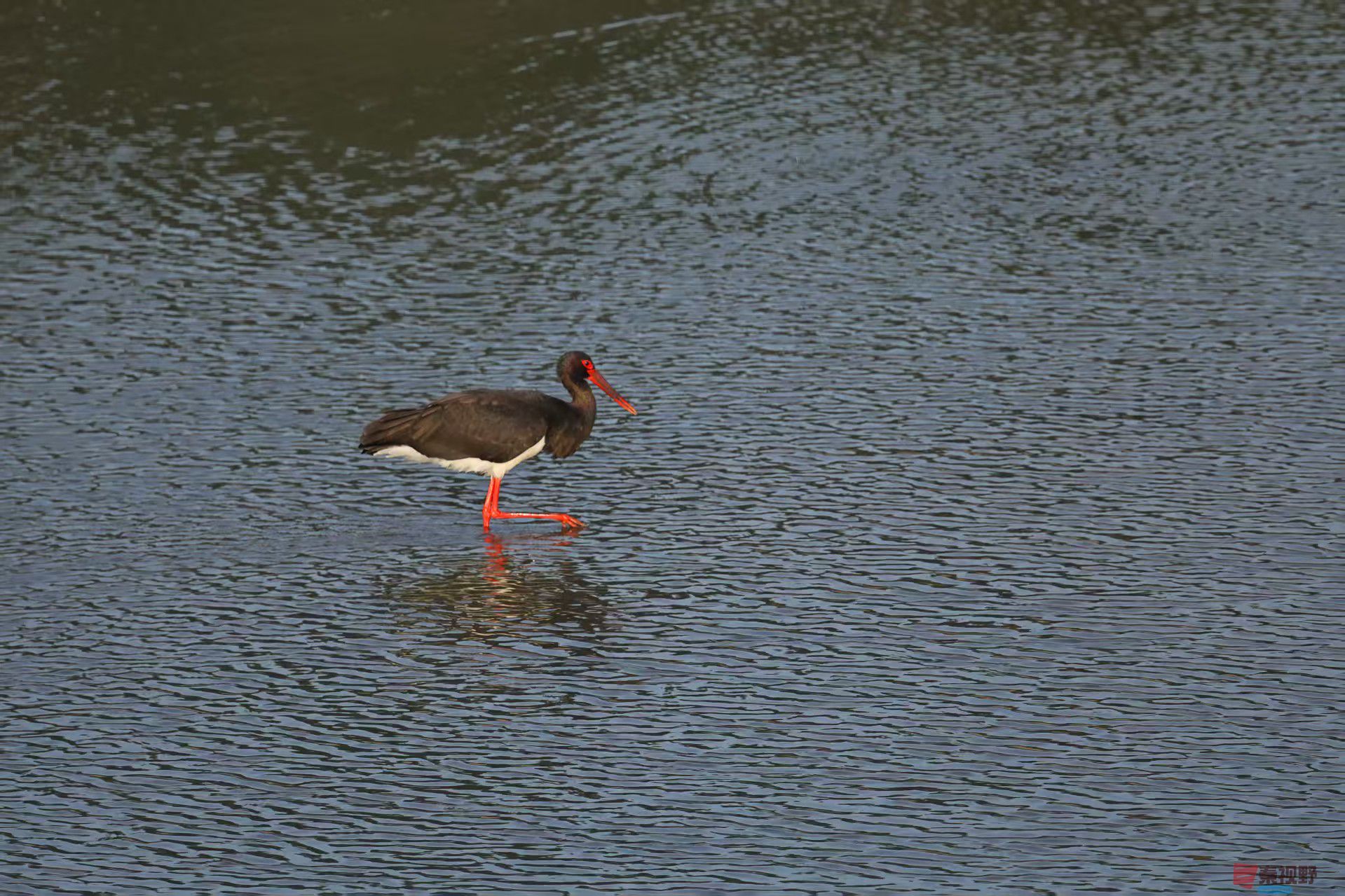 陈耀杰_20251117145156_3360_463 (3).jpg