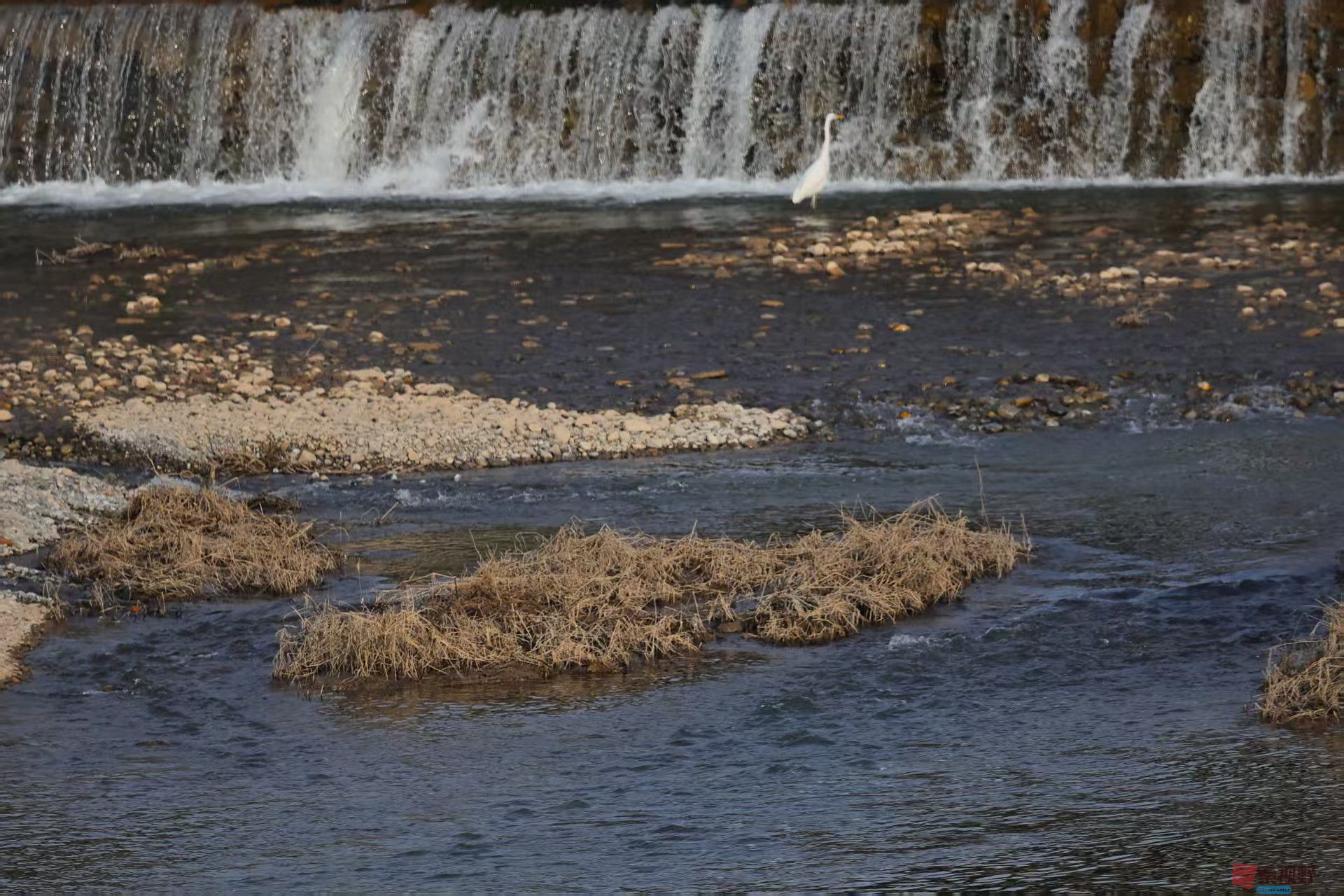 陈耀杰_20251117145156_3360_463 (4).jpg