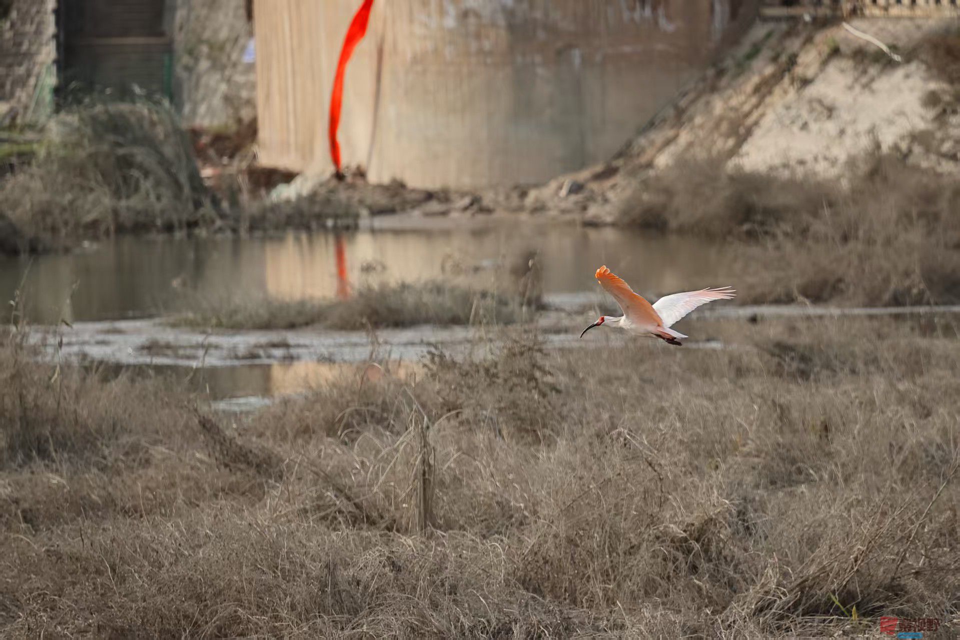 陈耀杰_20251117145156_3360_463 (5).jpg