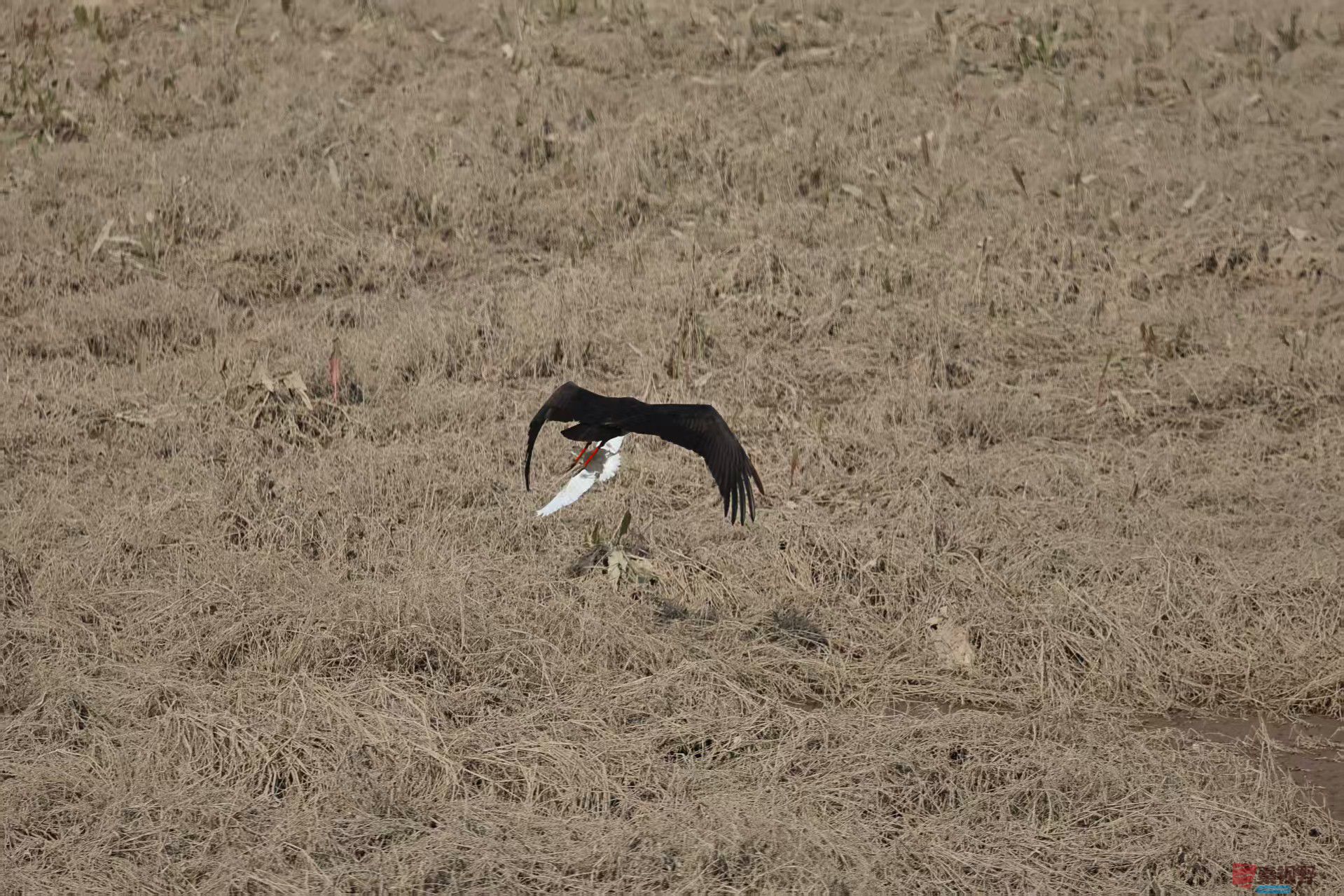 陈耀杰_20251117145156_3360_463 (8).jpg