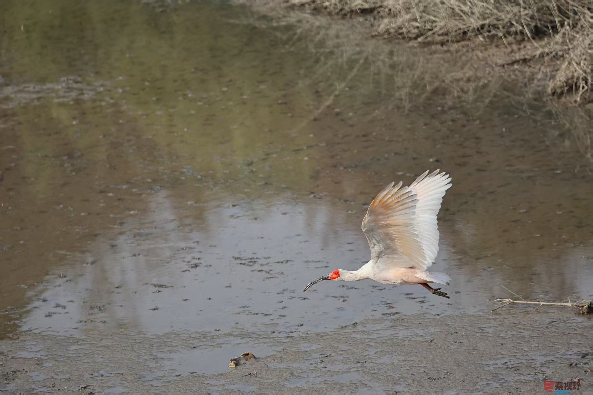 陈耀杰_20251117145156_3360_463 (9).jpg