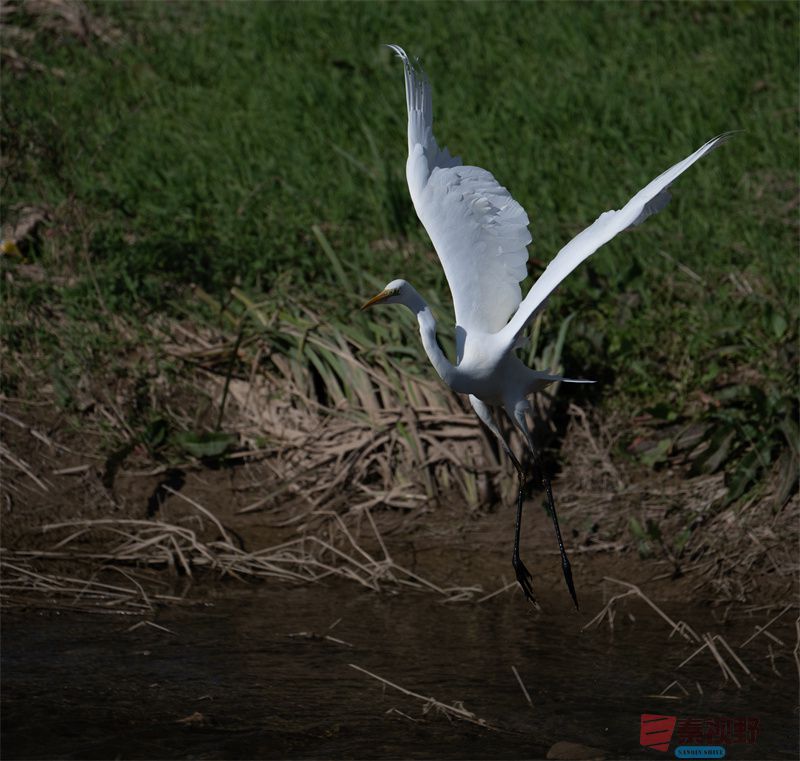 元胜利压缩20251118 (1).jpg