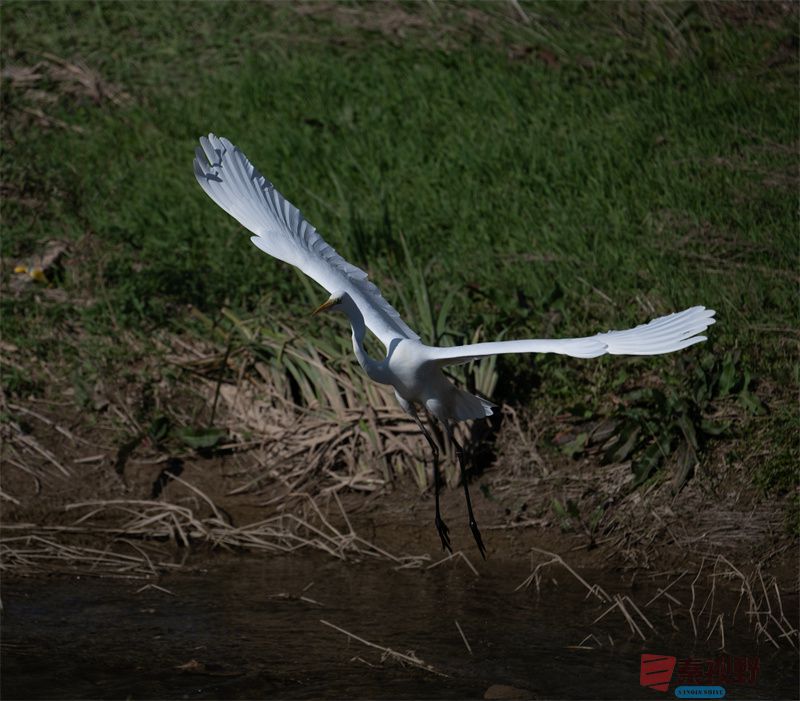 元胜利压缩20251118 (2).jpg