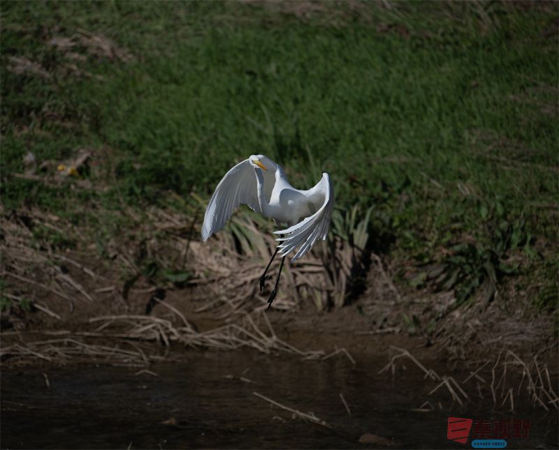 元胜利压缩20251118 (5).jpg