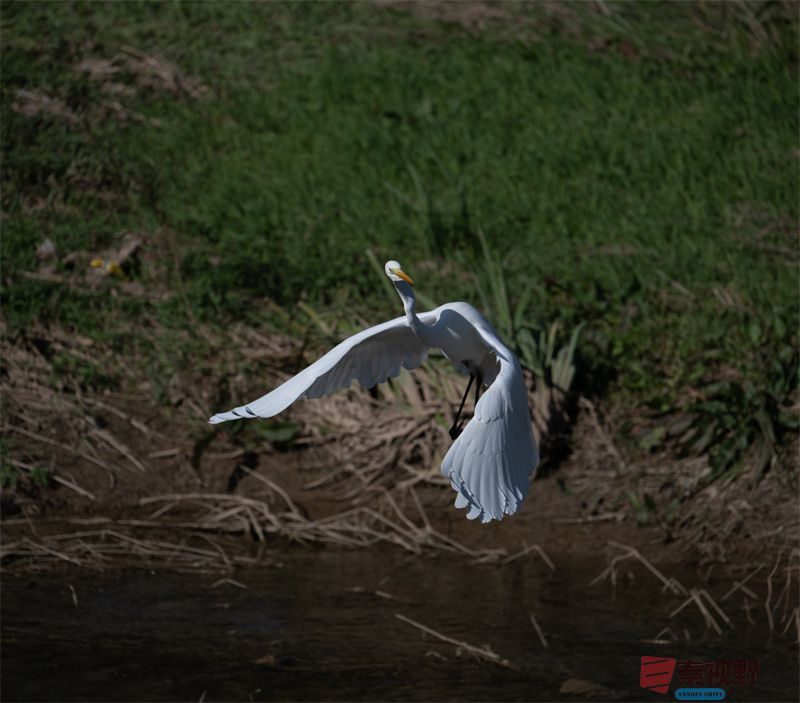 元胜利压缩20251118 (4).jpg