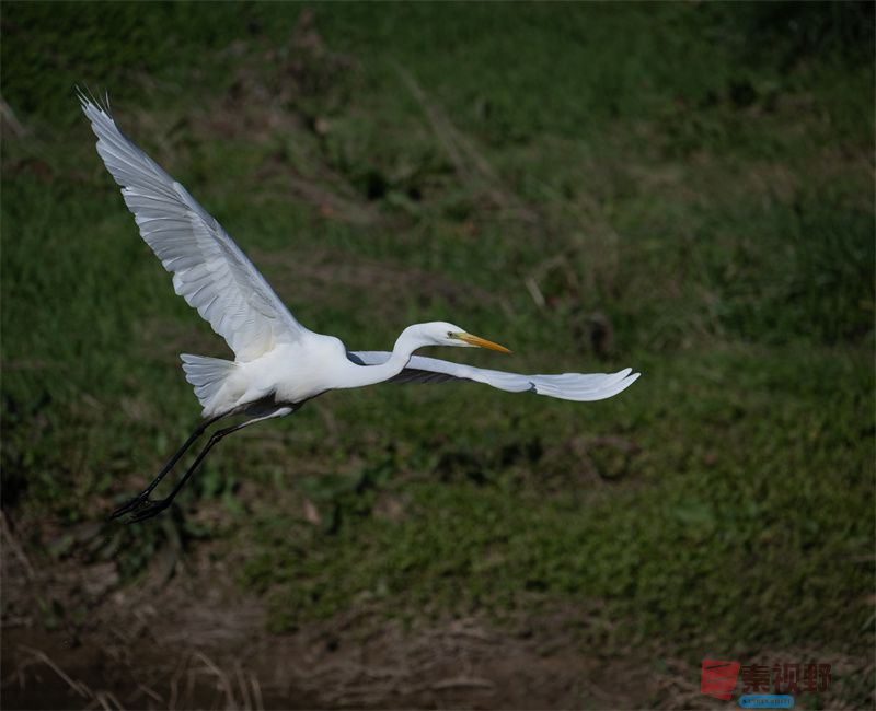 元胜利压缩20251118 (9).jpg