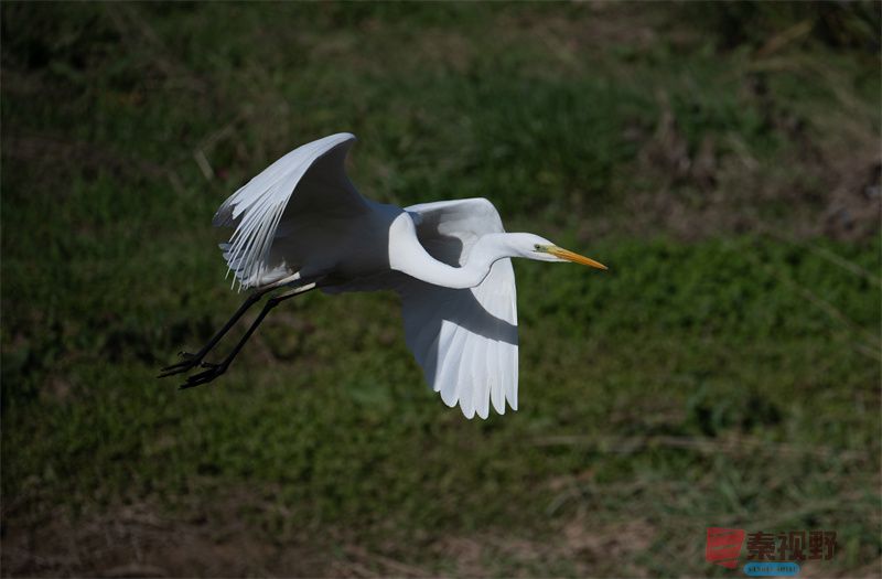 元胜利压缩20251118 (10).jpg