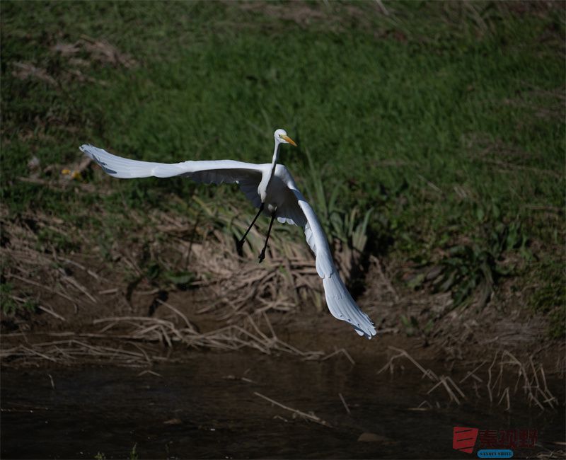 起飞模式【摄影元胜利】