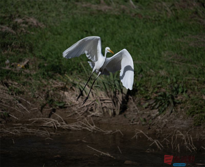 元胜利压缩20251118 (14).jpg