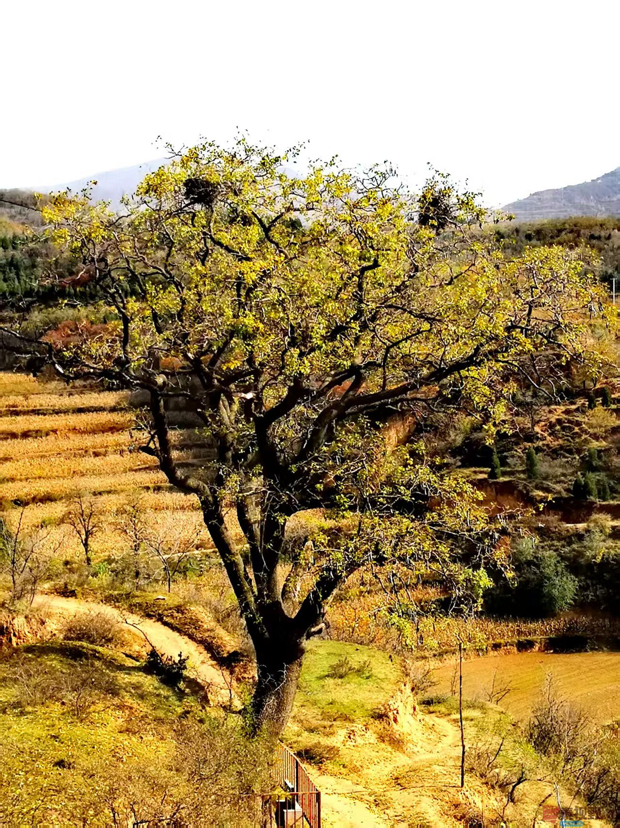 李雪平_20251117105422_659_149 (4).jpg