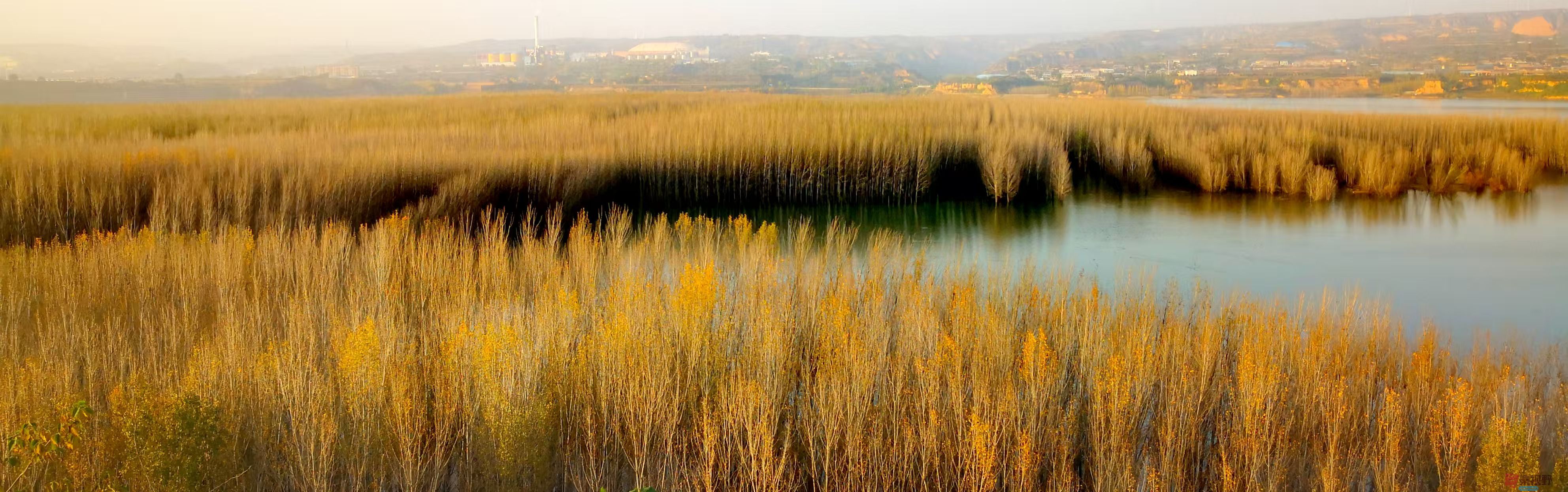 李雪平_20251117105422_659_149 (7).jpg